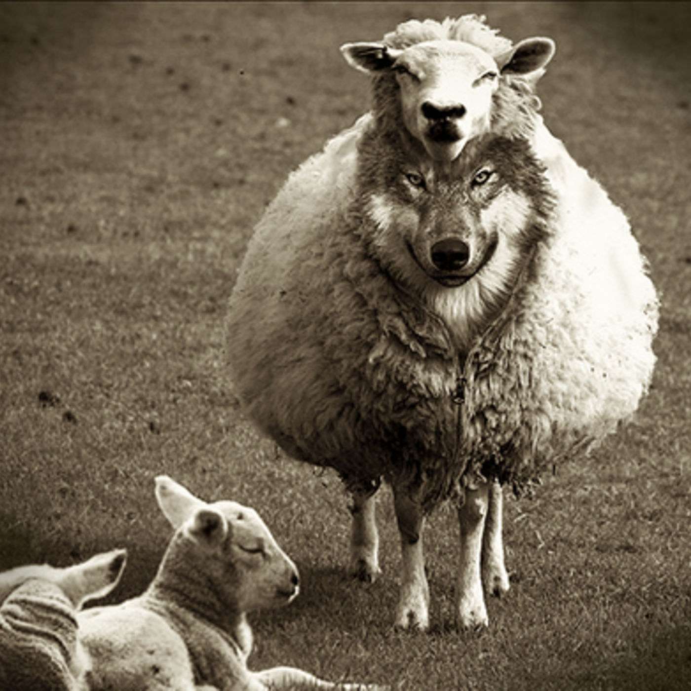 False Prophets and Teachers - Part 2