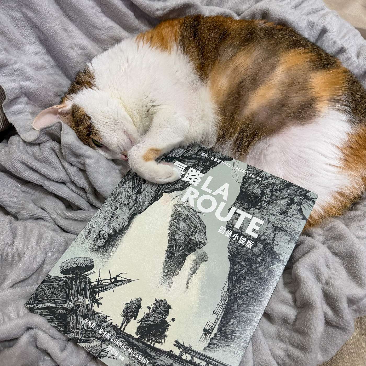 【鮑鮑看漫畫EP85】文字和圖像間的競逐與角力：讀圖像小說版《長路》