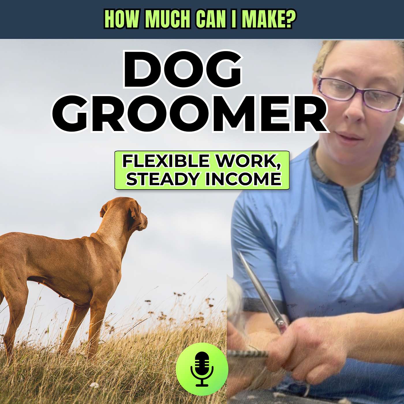 How Much Does a Dog Groomer Make? Real Income & Career Path