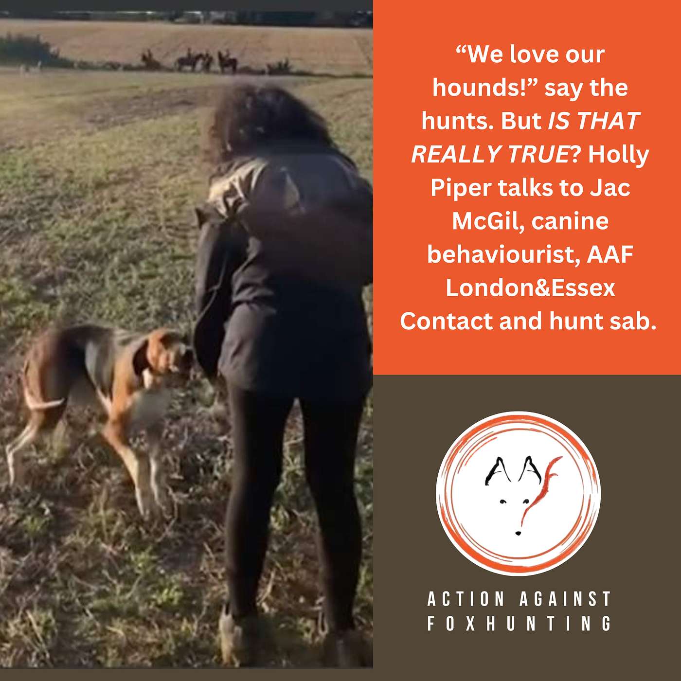 Action Against Foxhunting Podcasts