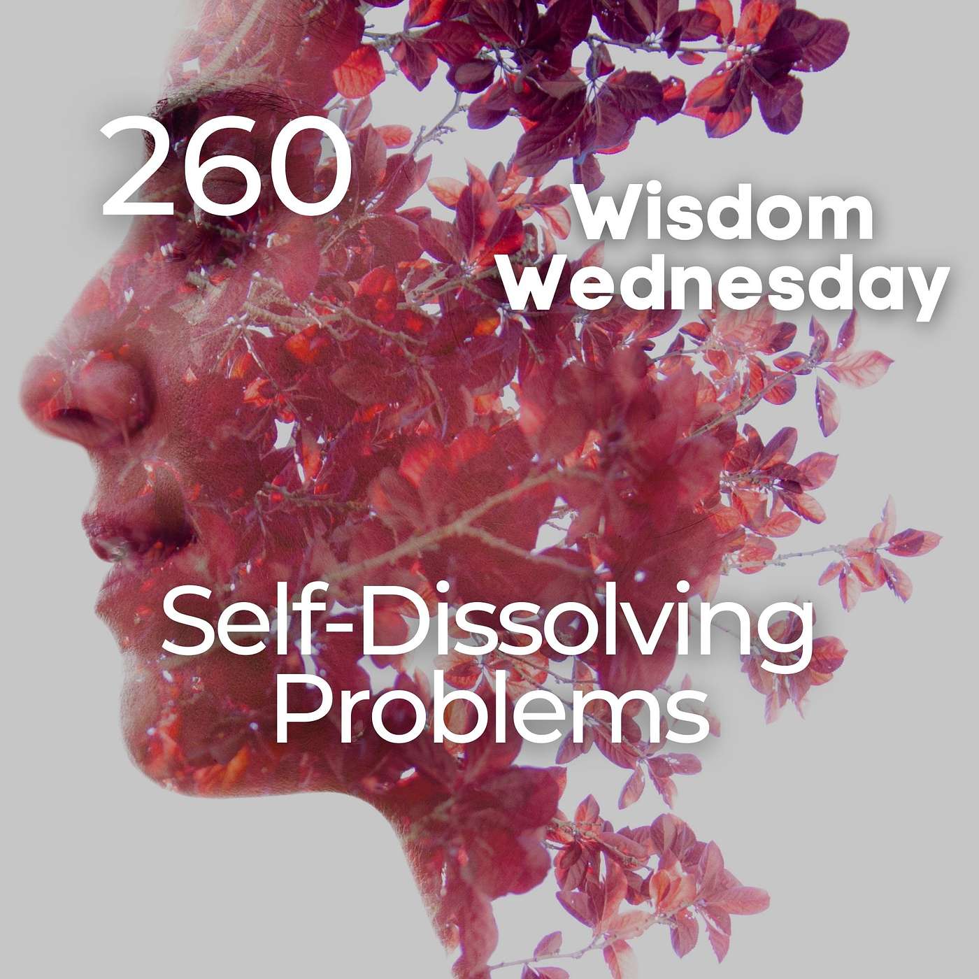 #260 | WW - Self-Dissolving Problems