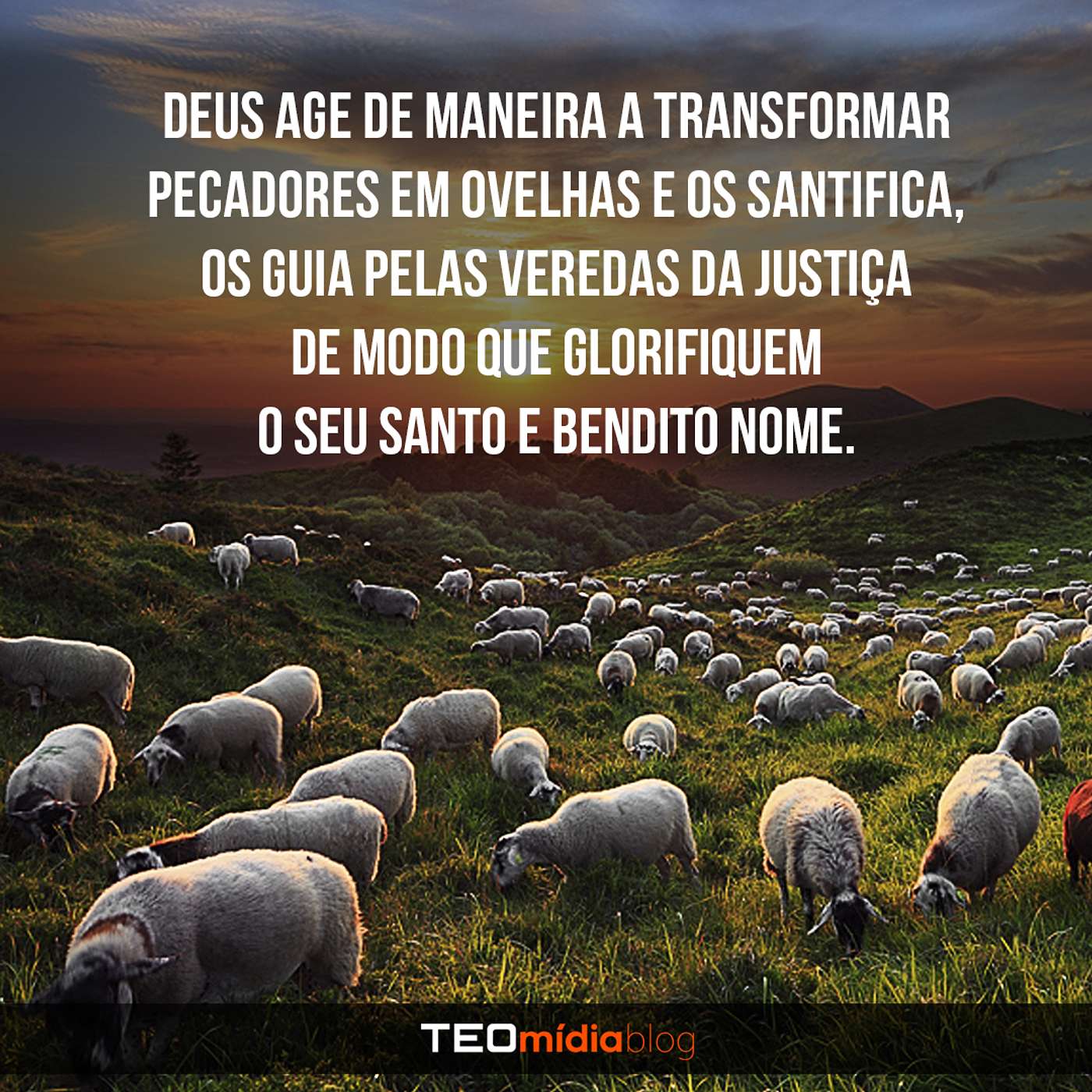 TEOmídia Blog