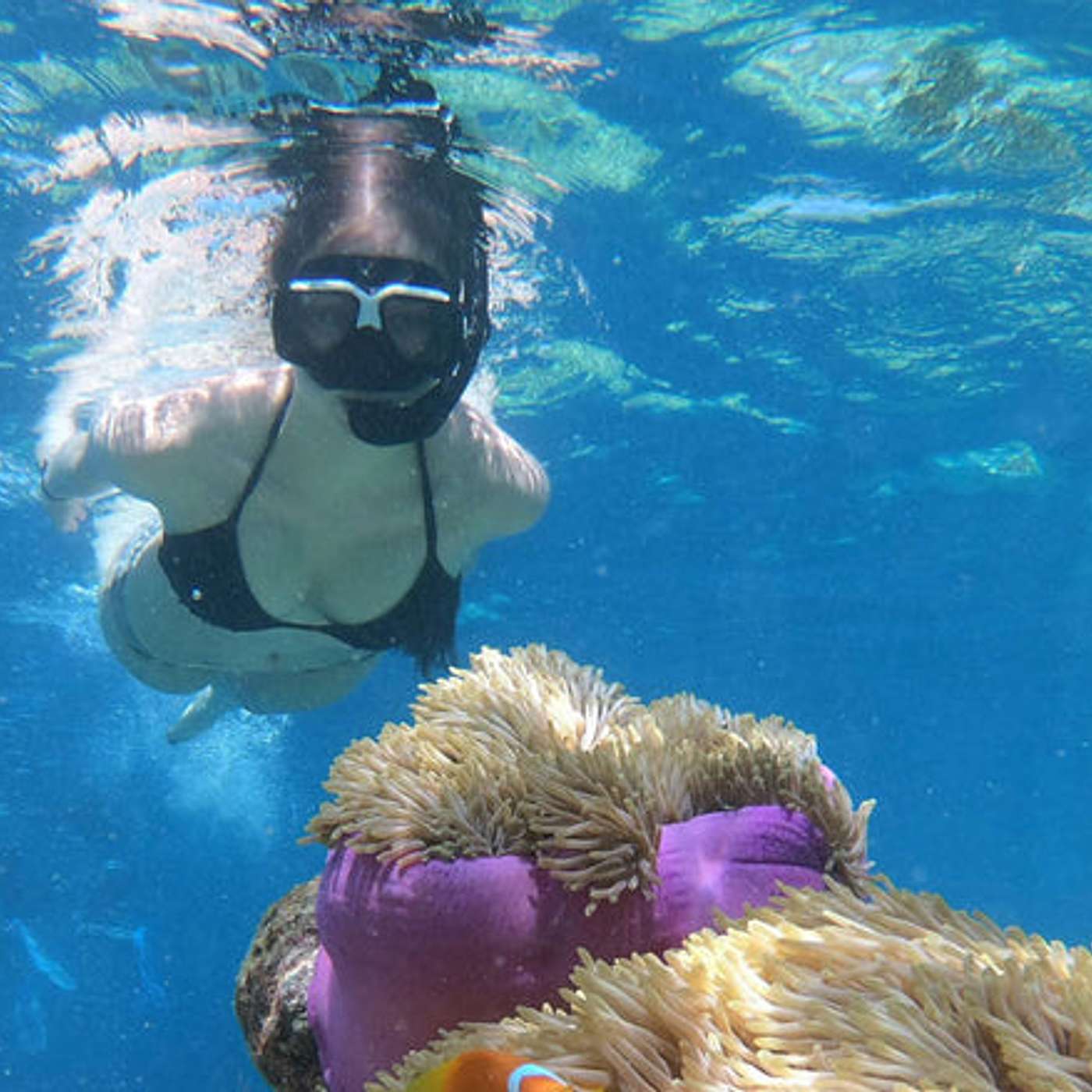 What Not to Touch While Snorkeling?