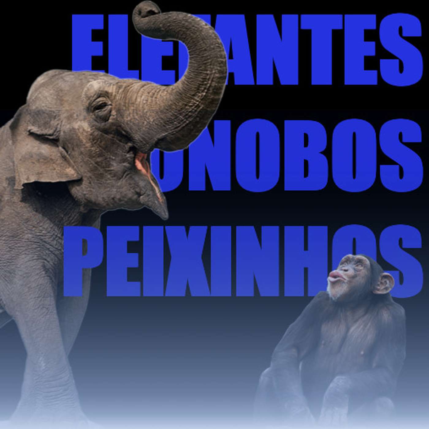 Elefantes na Neblina