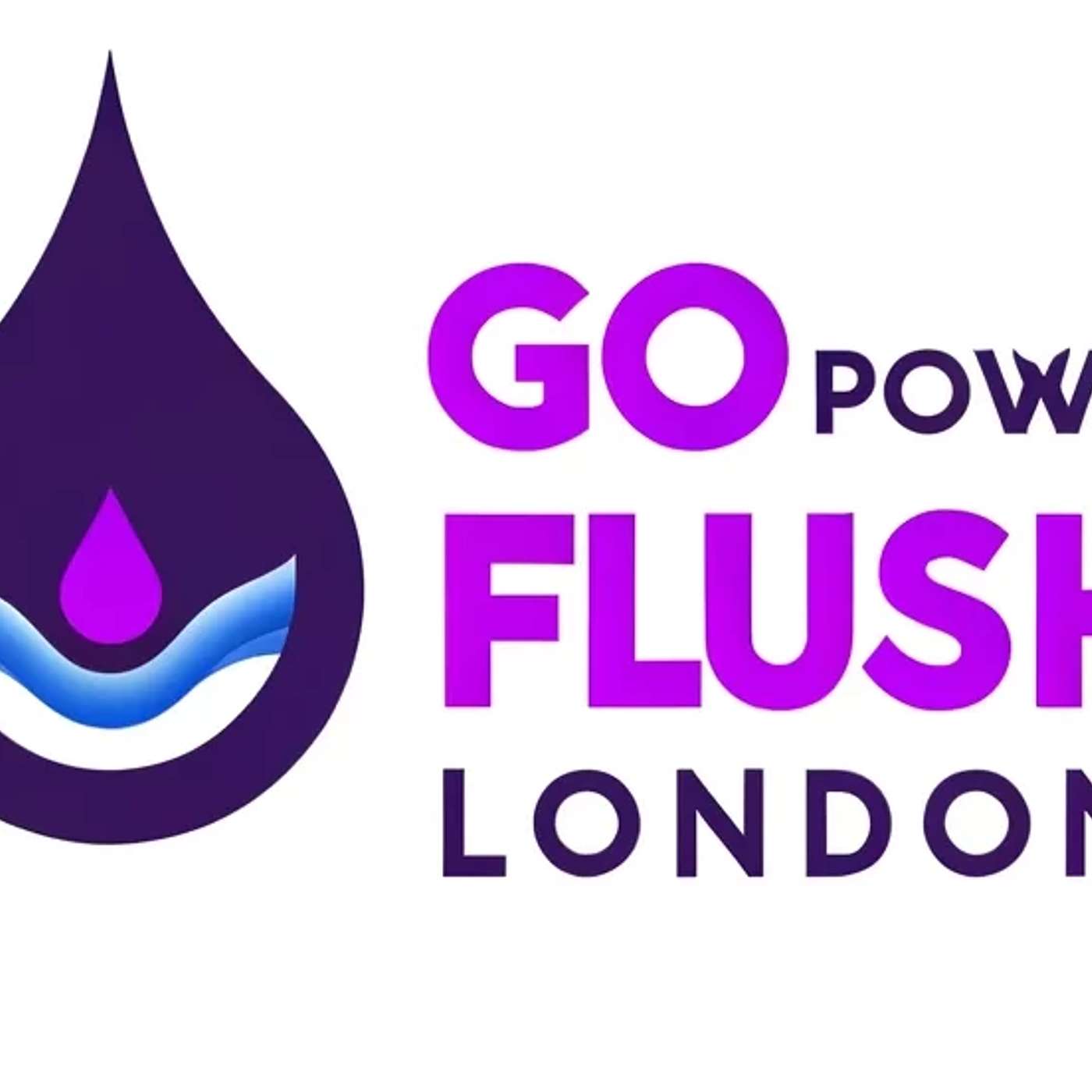 Go Power Flush London