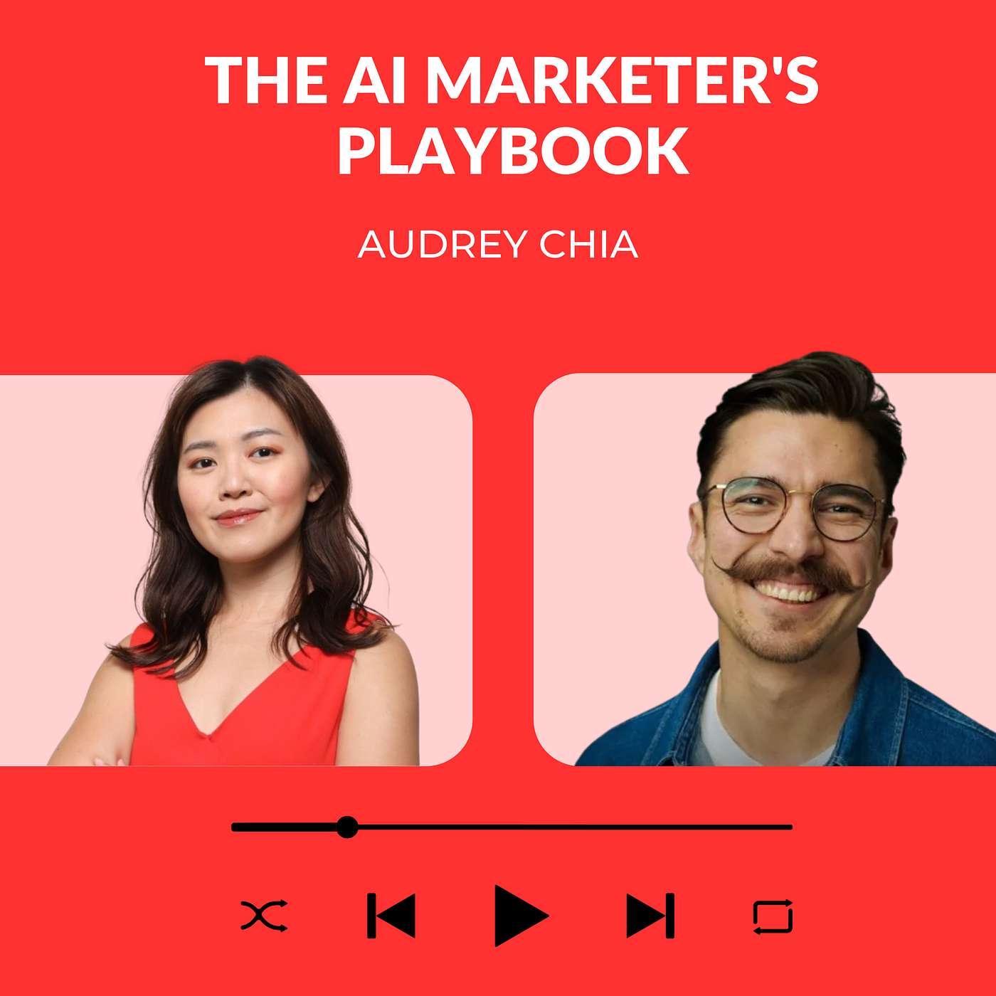 The AI Marketer\'s Playbook