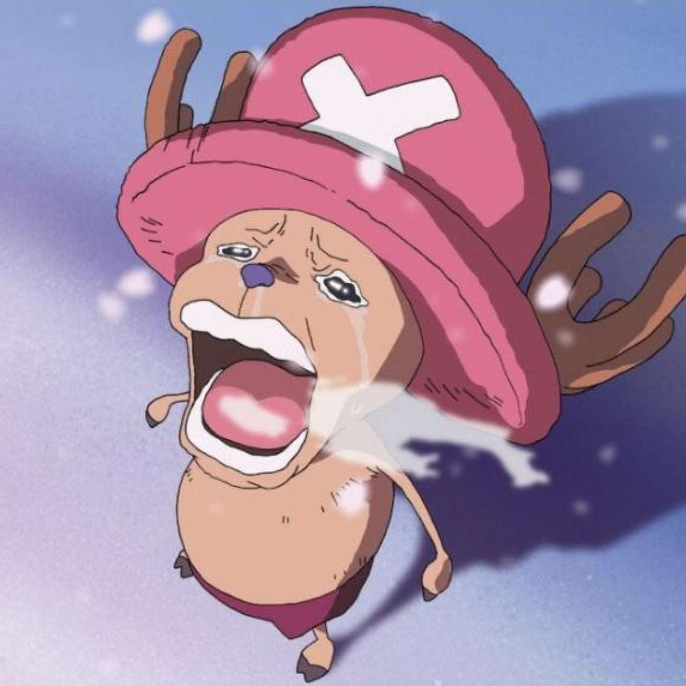One Piece Check-In