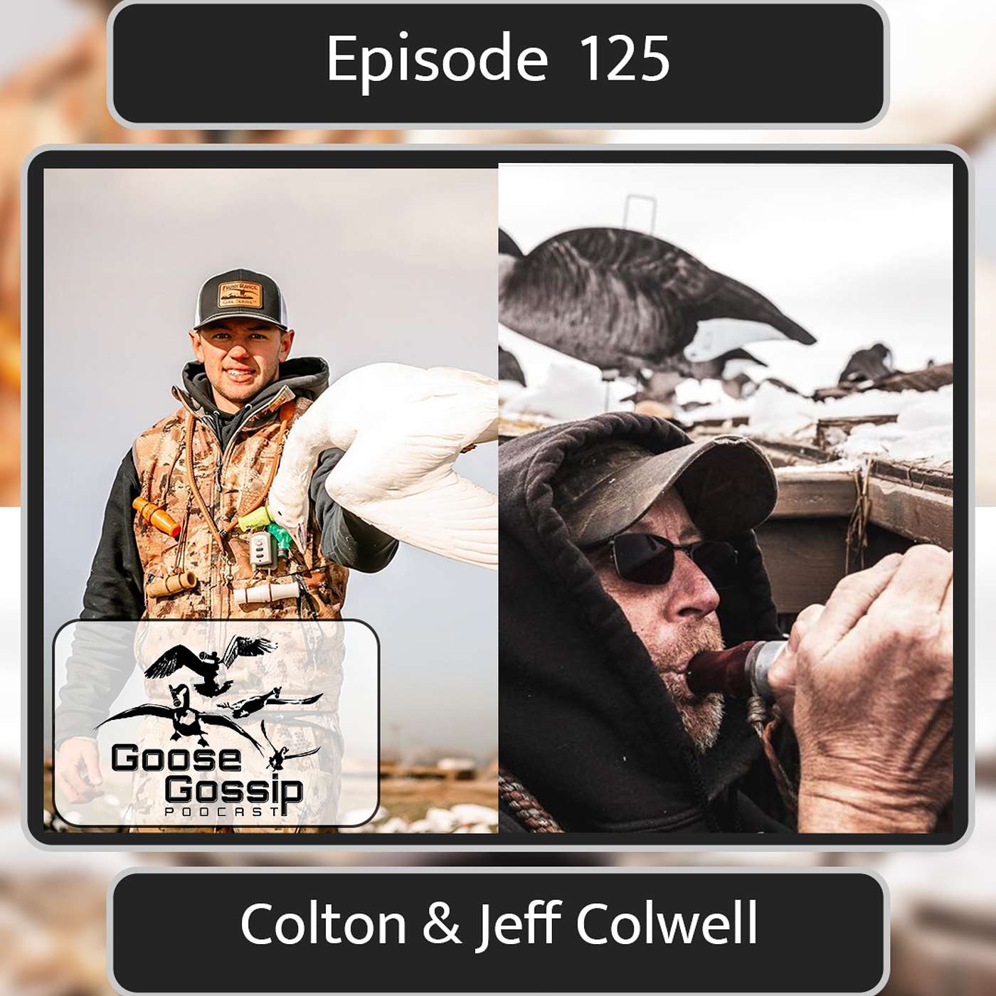 The Goose Gossip Podcast