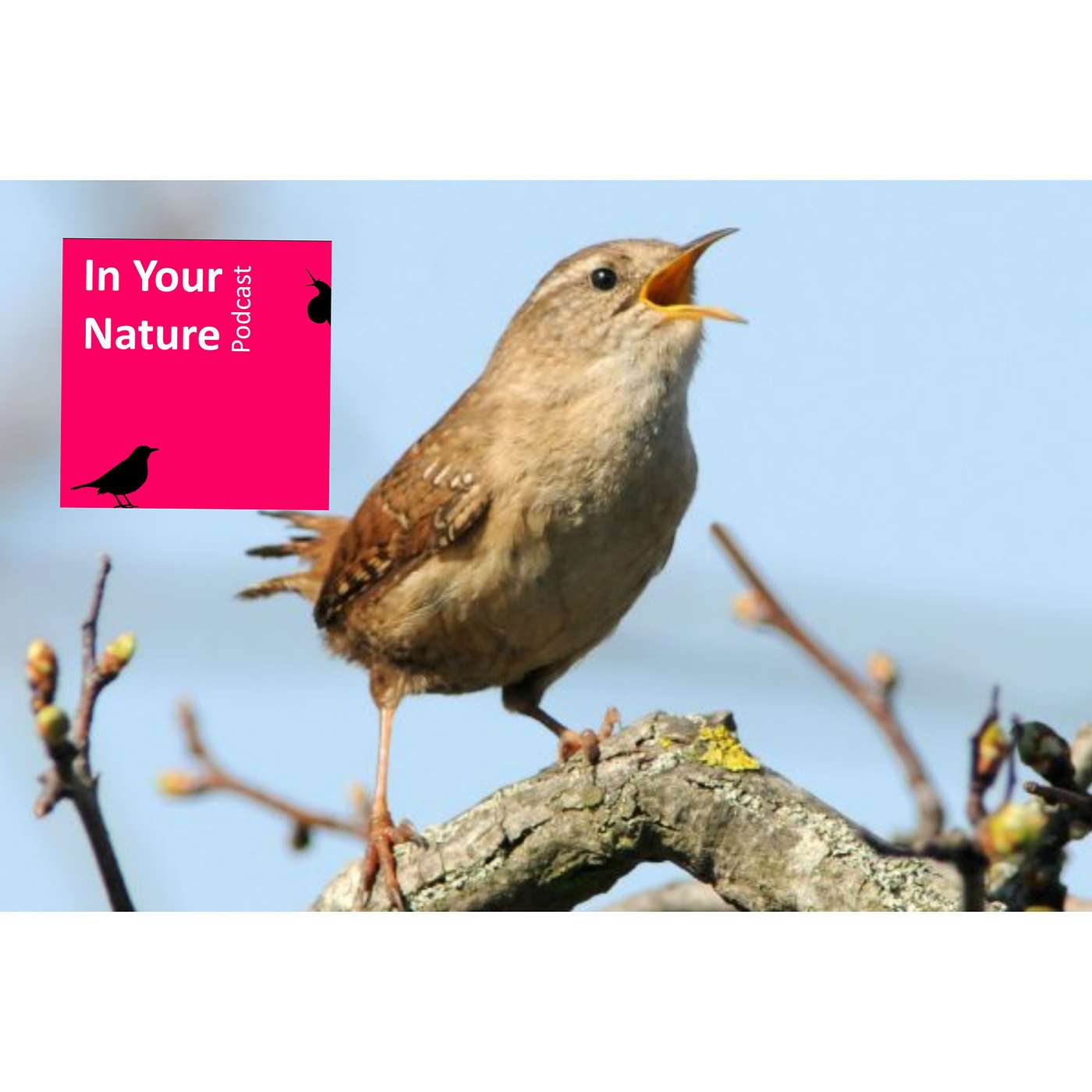 In Your Nature