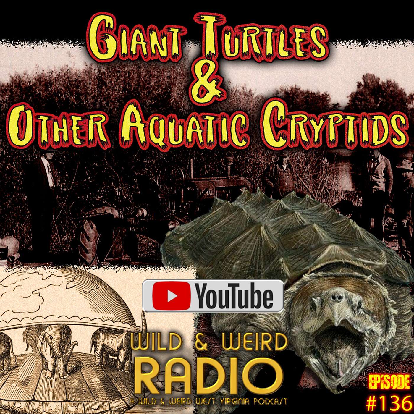 Giant Turtles & Other Aquatic Cryptids