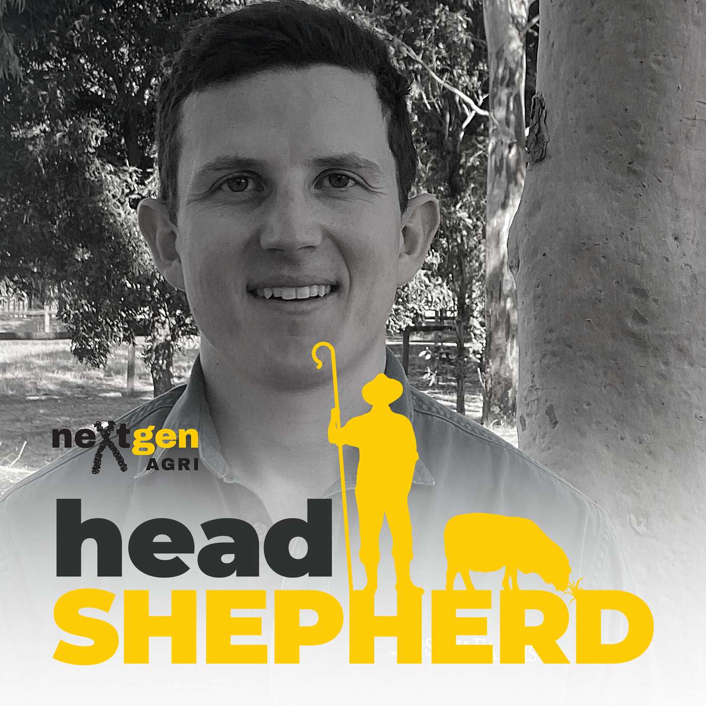 Improving reproductive performance in maiden ewes, with Charlie Wootton