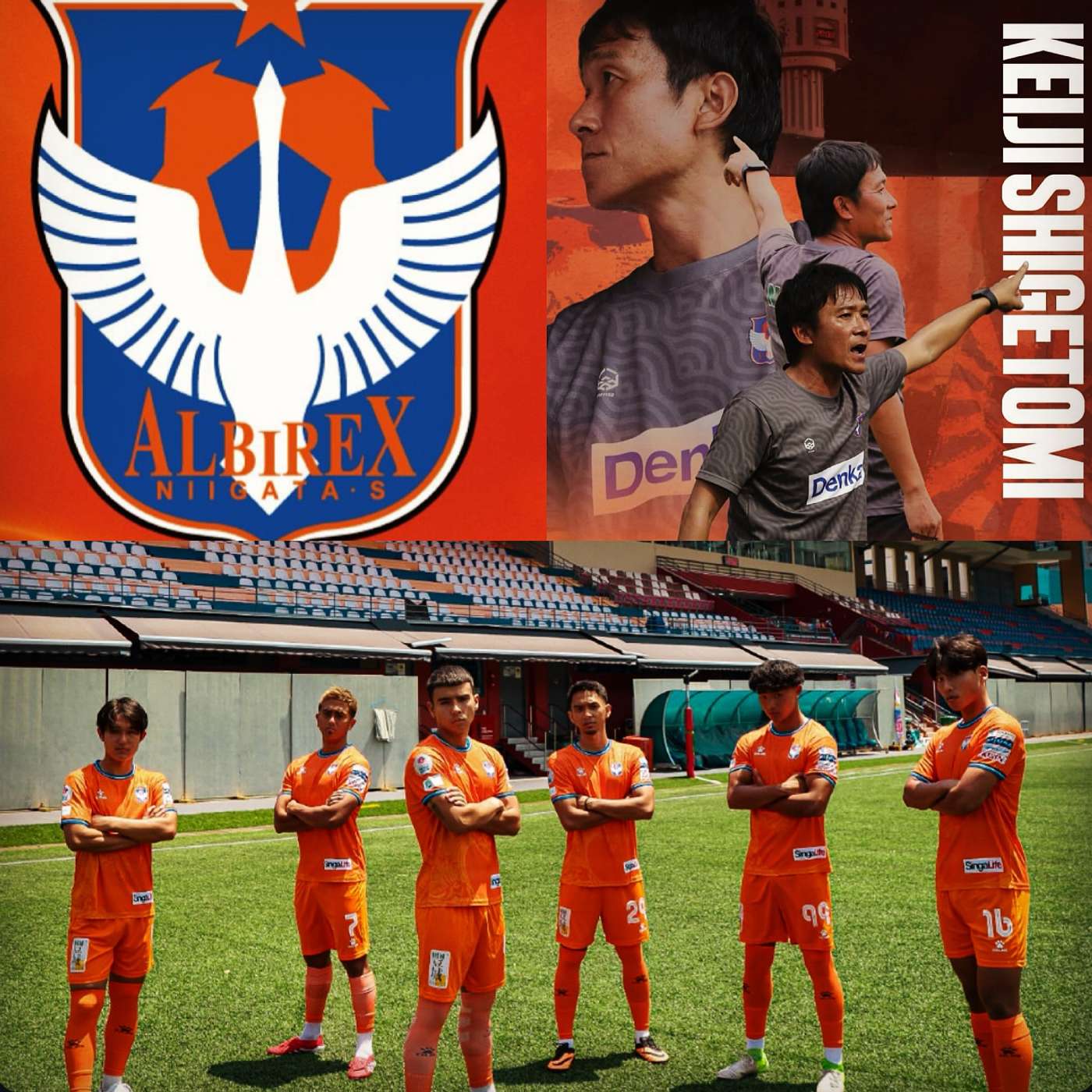 Silverfox Hustle SPL Preview - Albirex Niigata FC