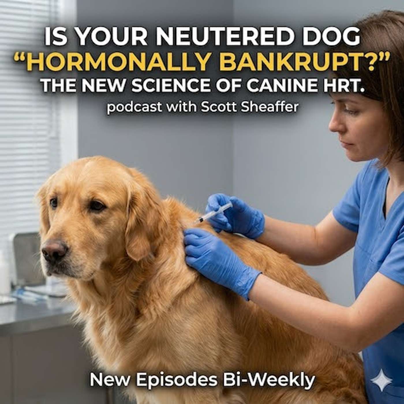 Is Your Neutered Dog "Hormonally Bankrupt?" The New Science of Canine HRT