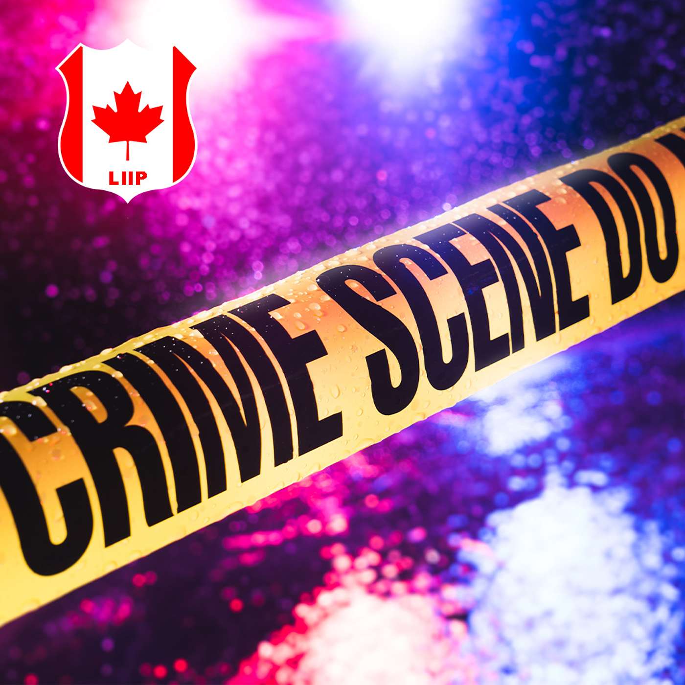 E121| Canada's overall crime down↓; assaults on officers up↑.