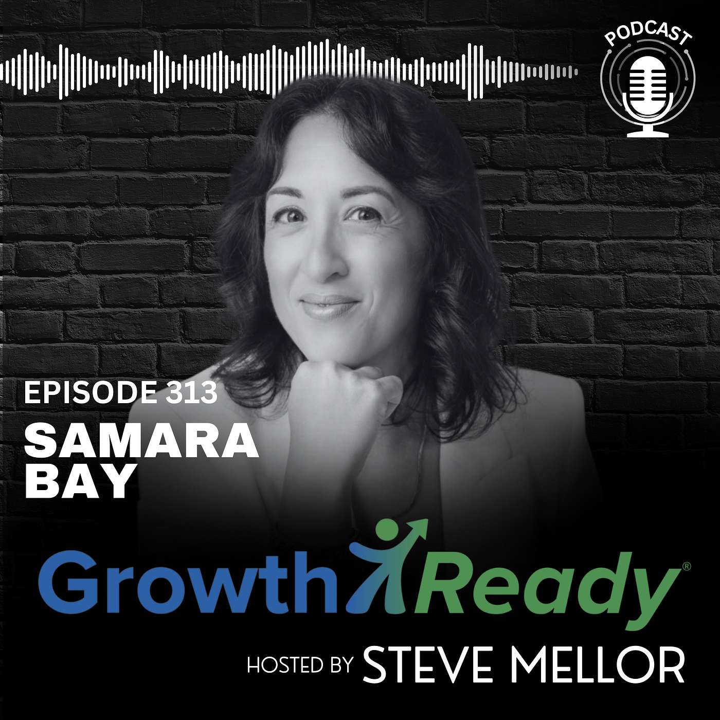 Episode 313: Own the Room in Your Next High-Stakes Moment even If You Don’t Feel Ready w/ Samara Bay