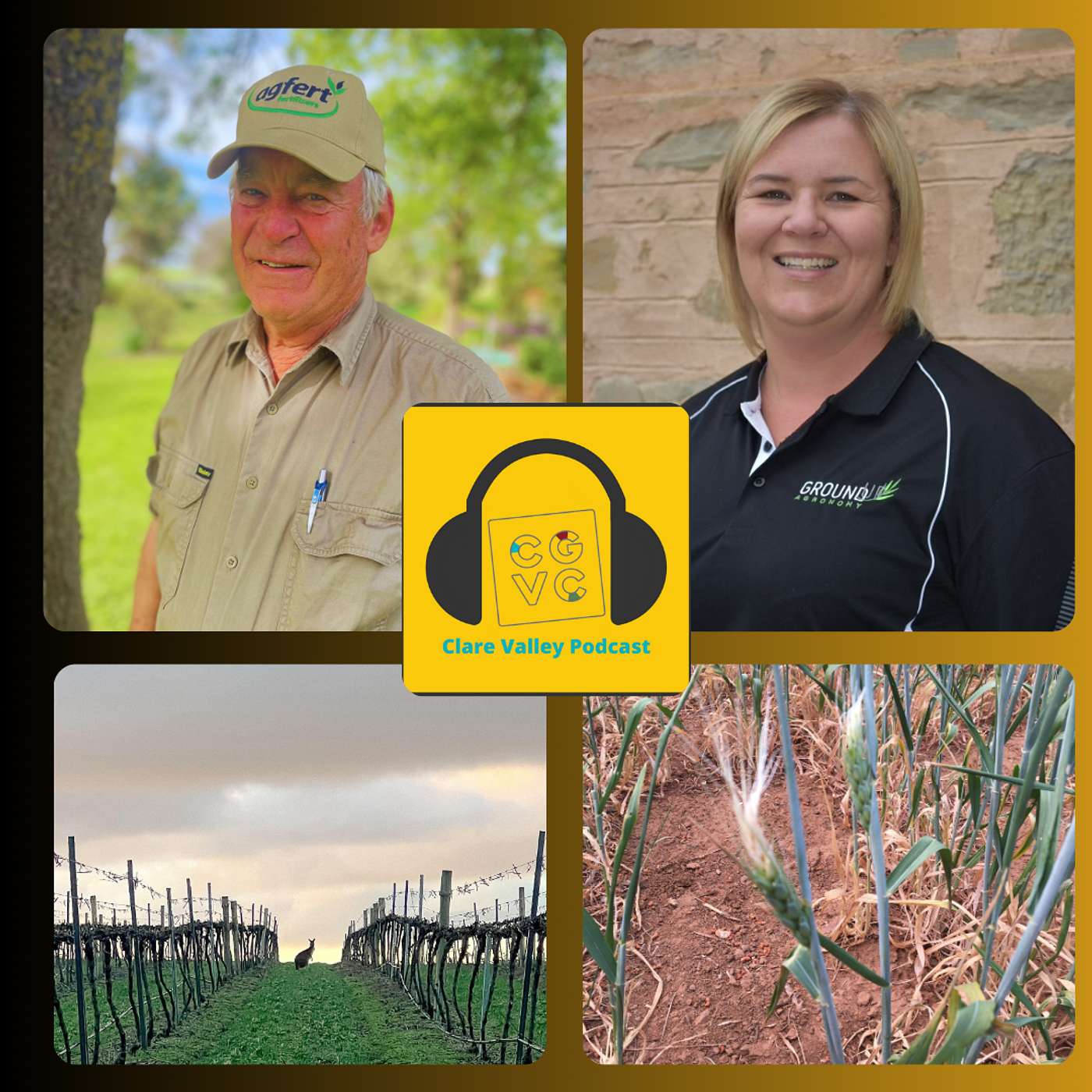 Clare Valley Podcast - Discovery Park cabin development plans;  Event funding update; Drought and frosts decimate crops