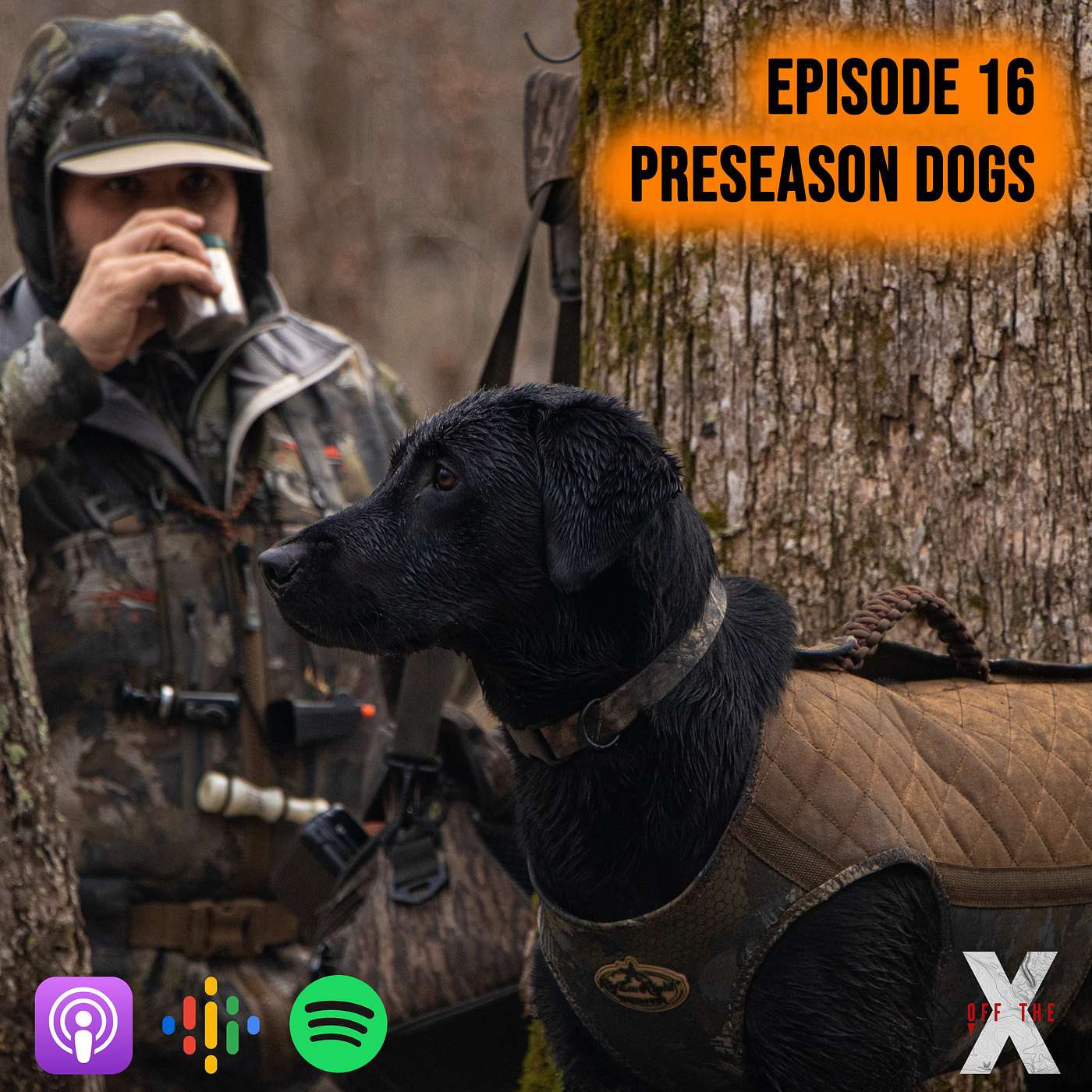 Preseason Dogs