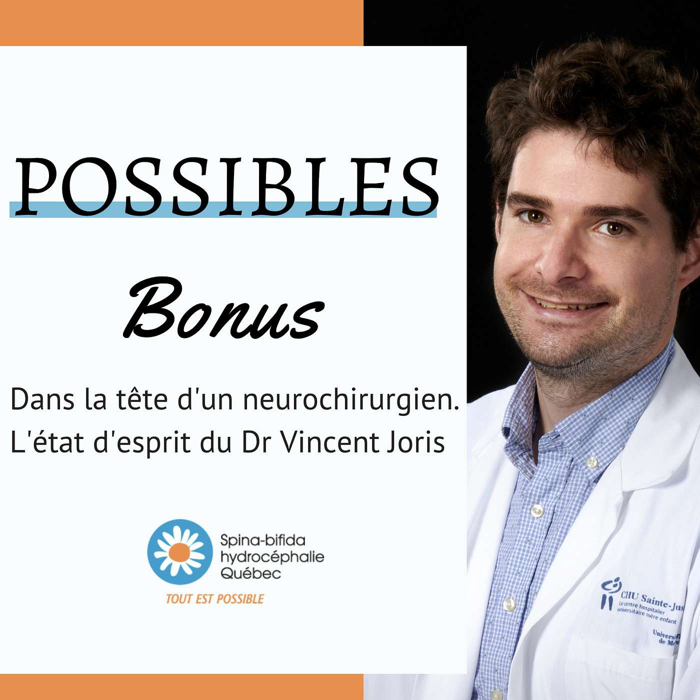 POSSIBLES