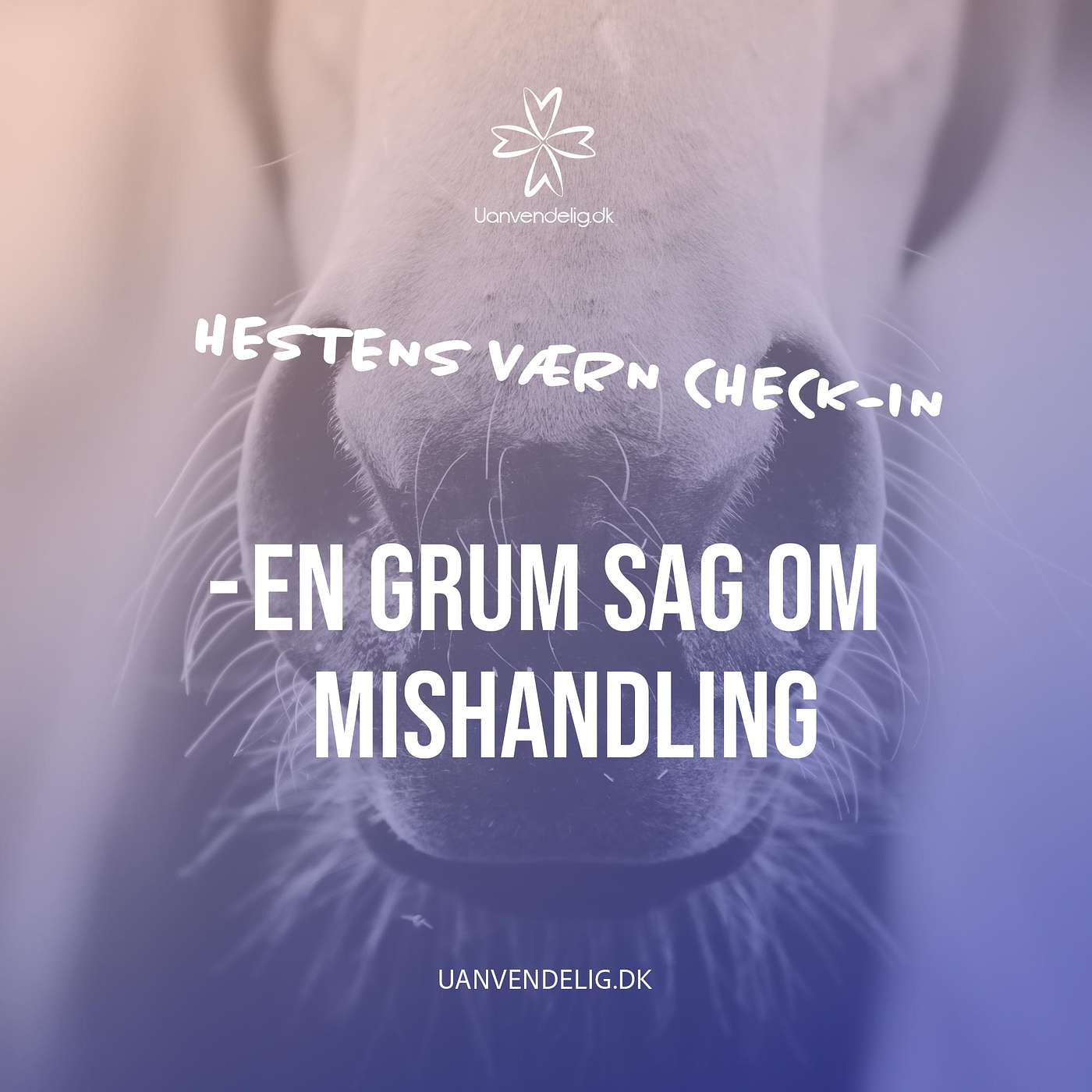 Uanvendelig eller Ridehest