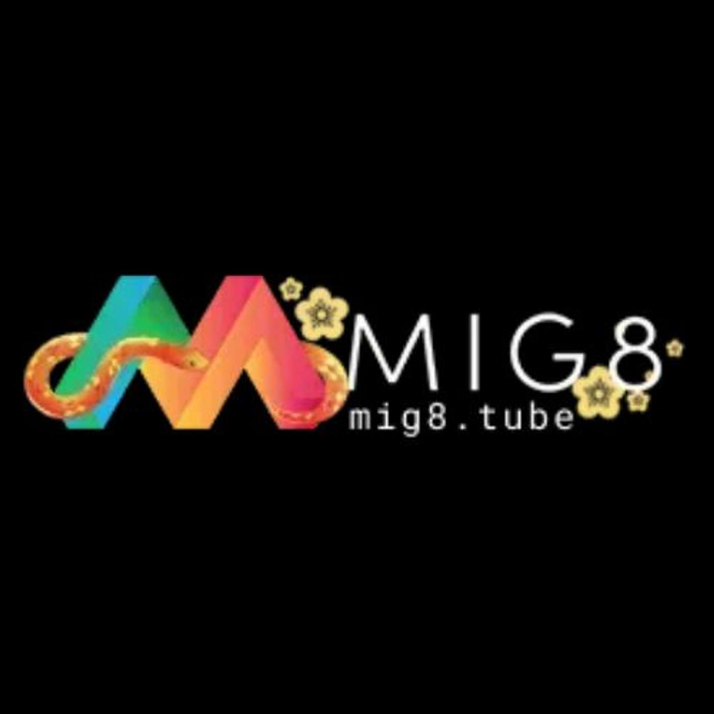 mig8