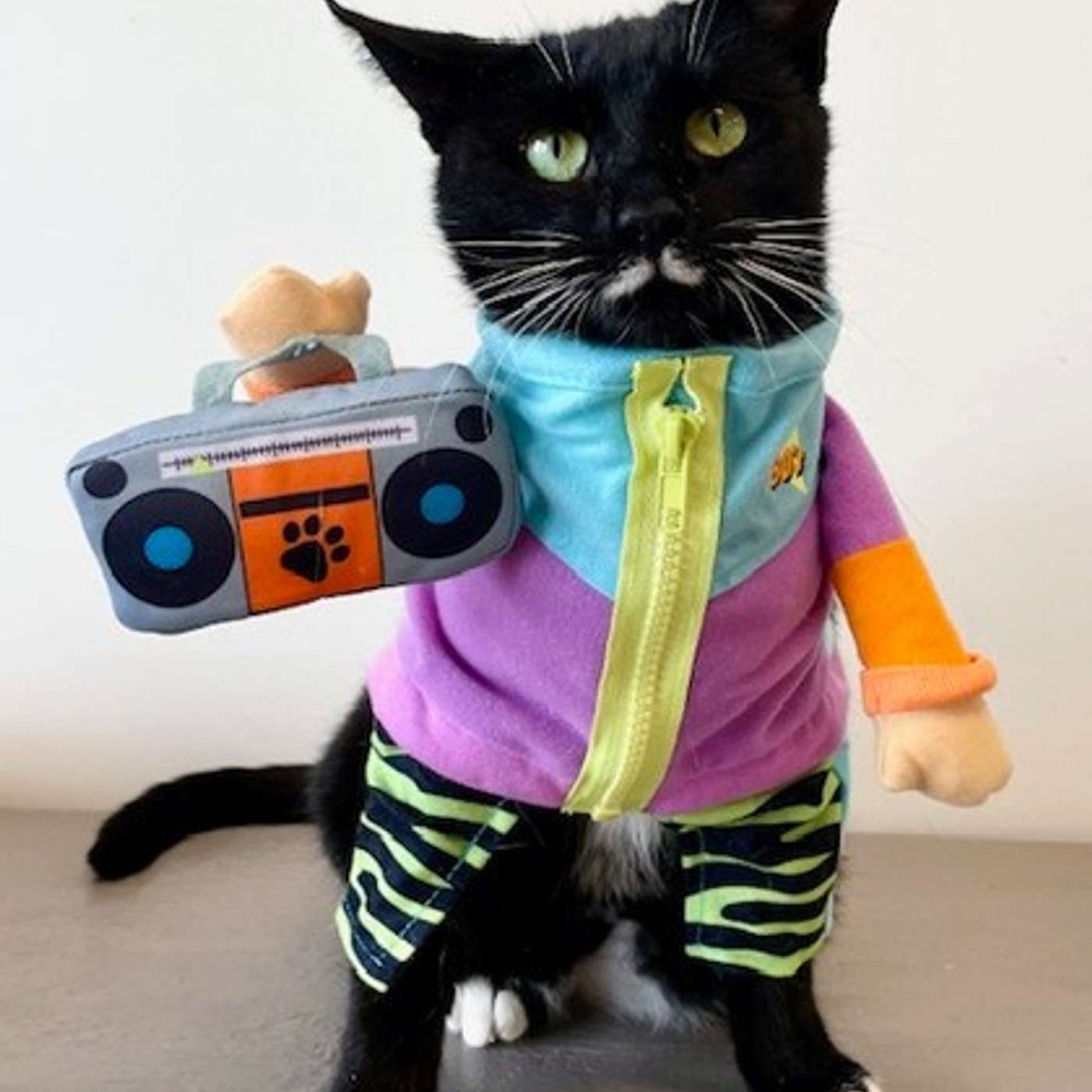 Meghan Trainor is a miracle kitty! Why? Take a listen!