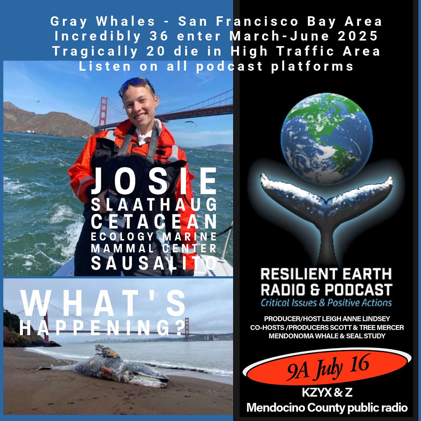 Resilient Earth Radio & Podcast