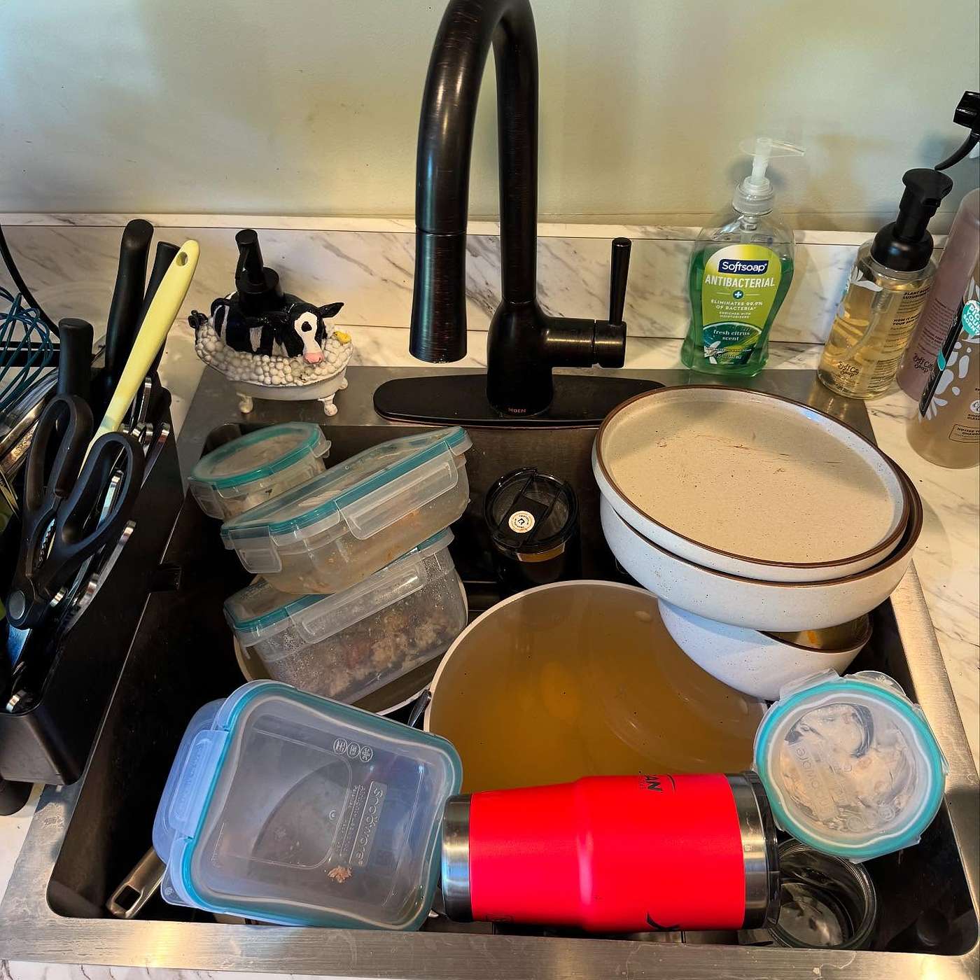 Five Reasons Why Paisley Hasn't Done Her Dishes In A Week