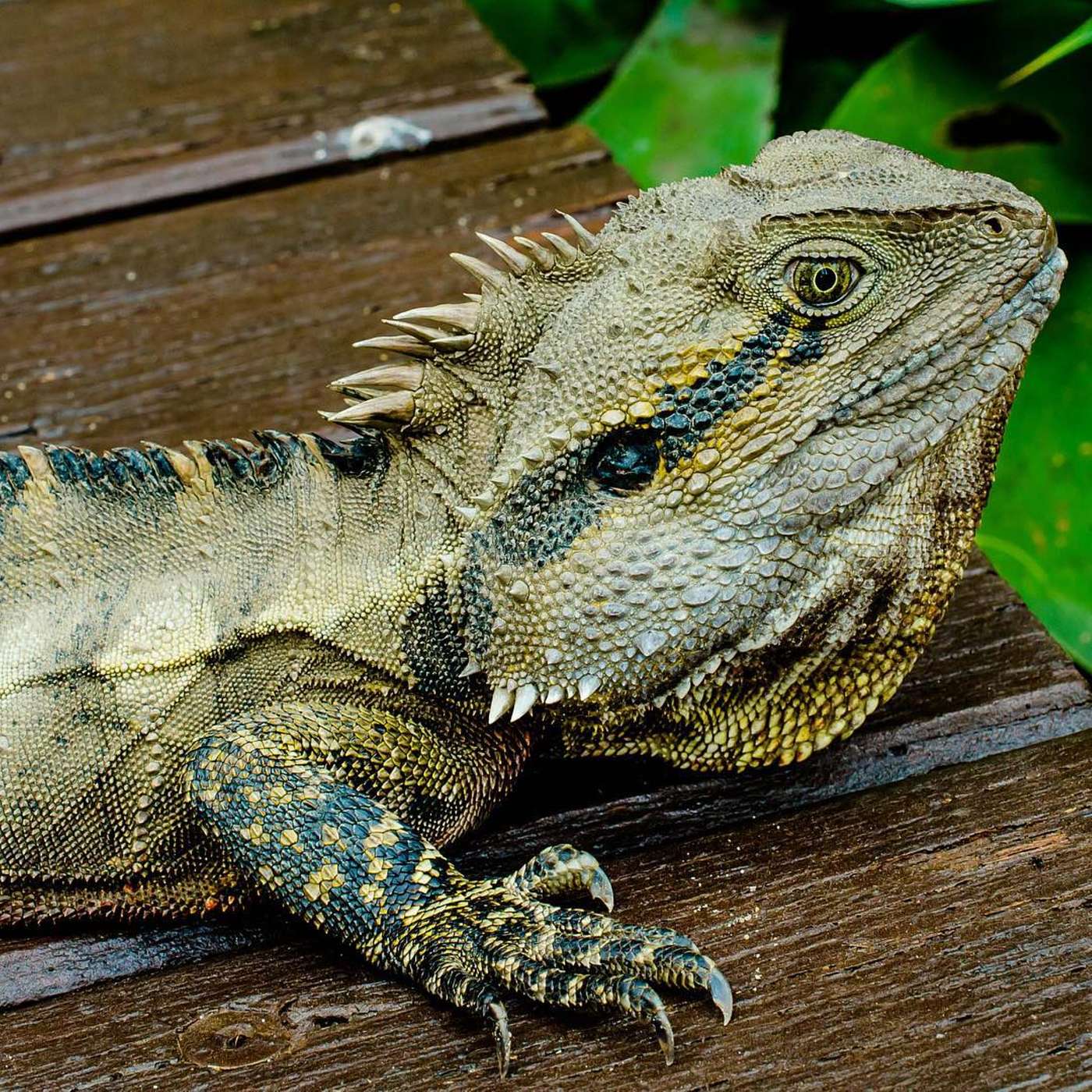 The Infinite Life: Consciousness Raising, Spiritual Transformation