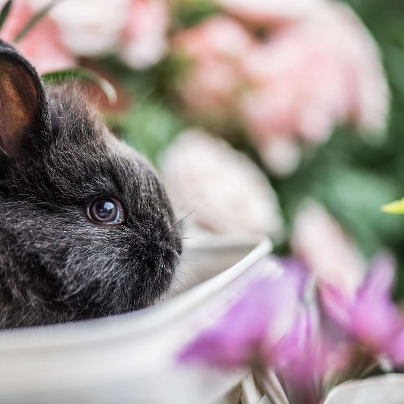 Sunday Service Podcast April 4th – Happy Easter