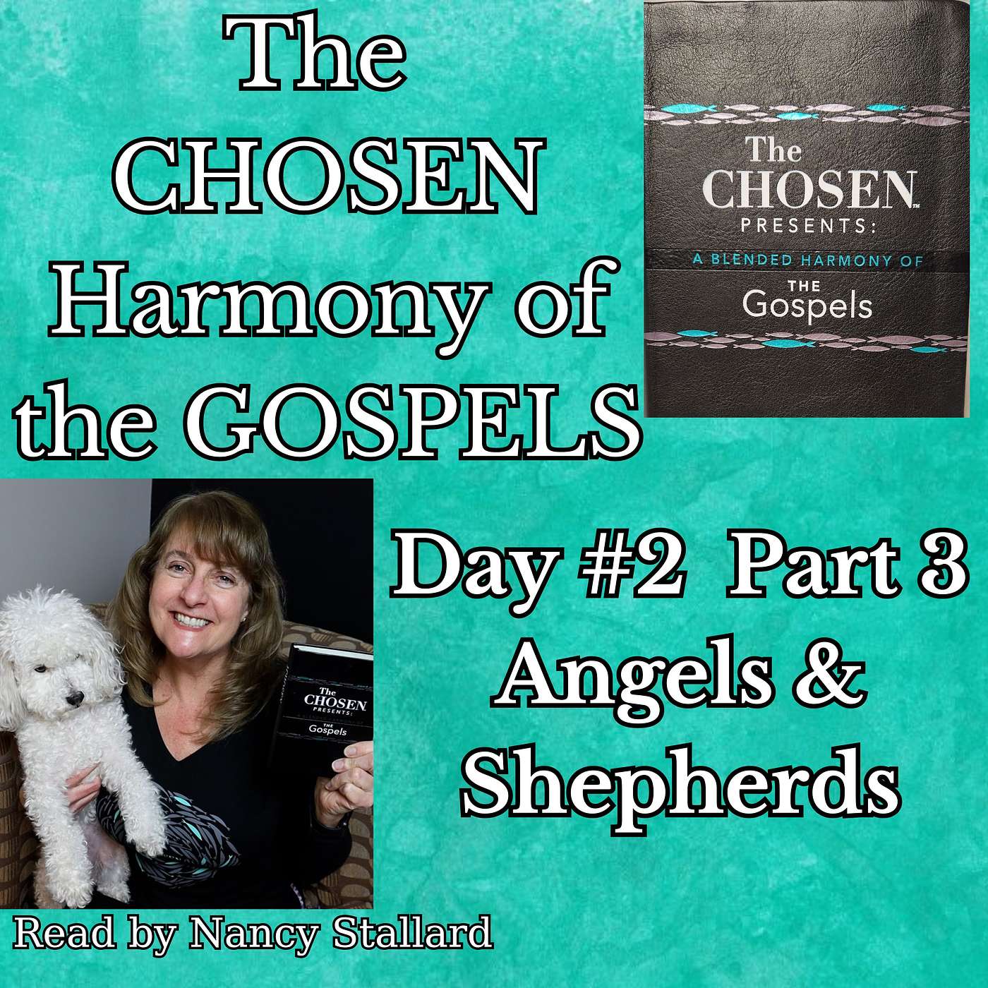 The Chosen Harmony of the Gospels- Day 2 Part 3: Angels and Jesus at Jesus Birth episode artwork
