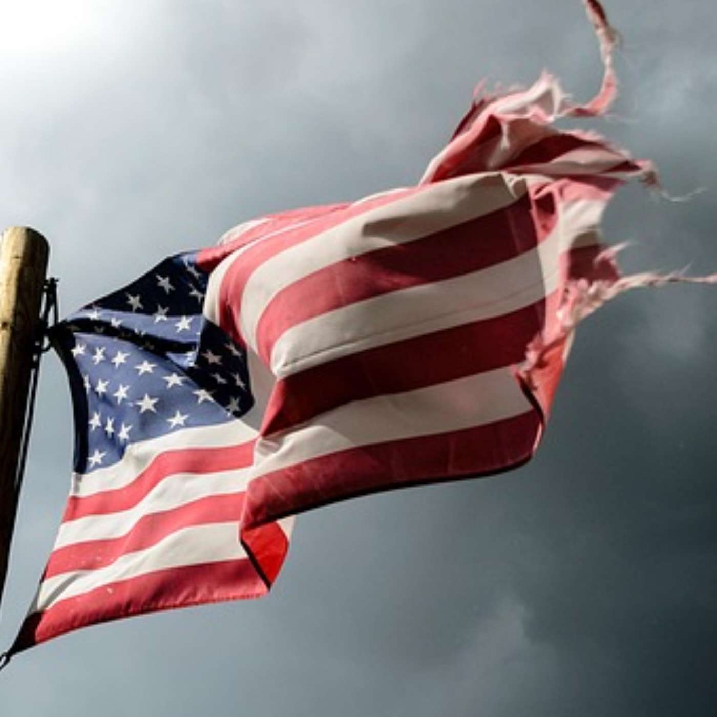 The Neal Larson Show