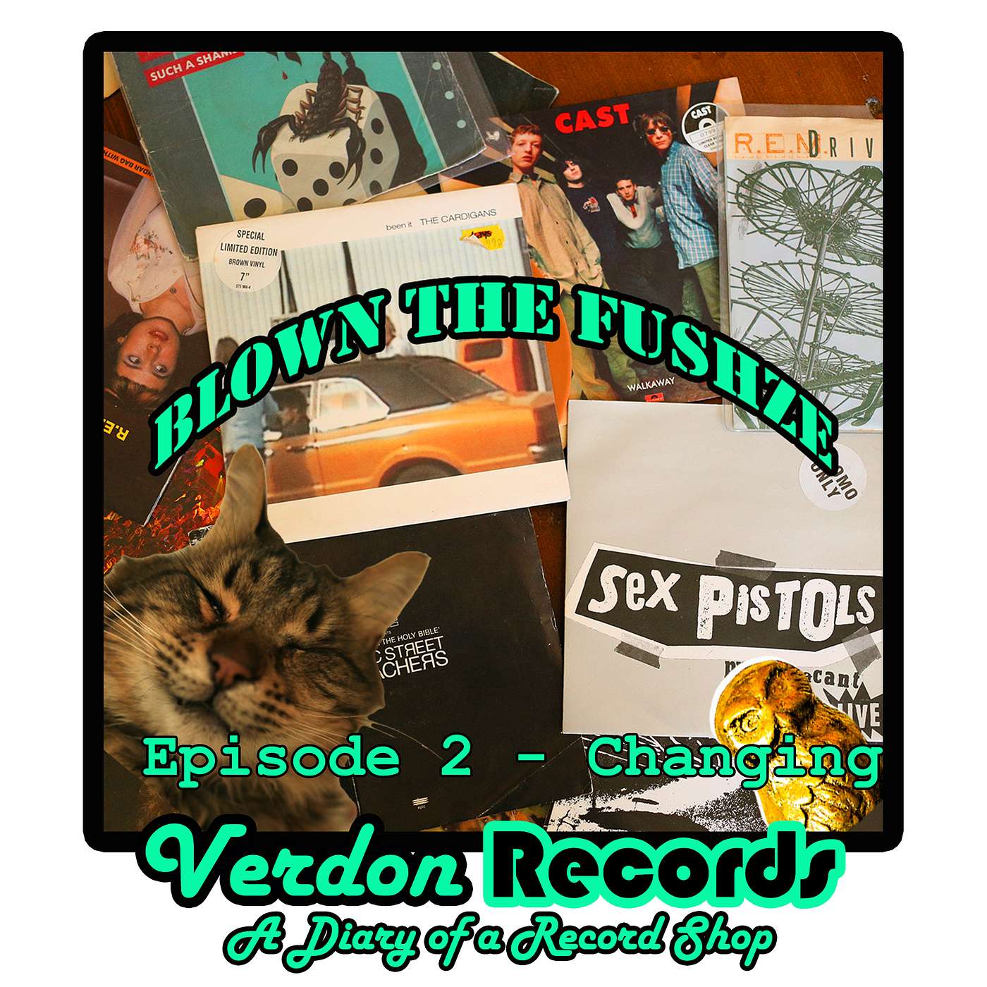Verdon Records - The Diary of a Record Shop