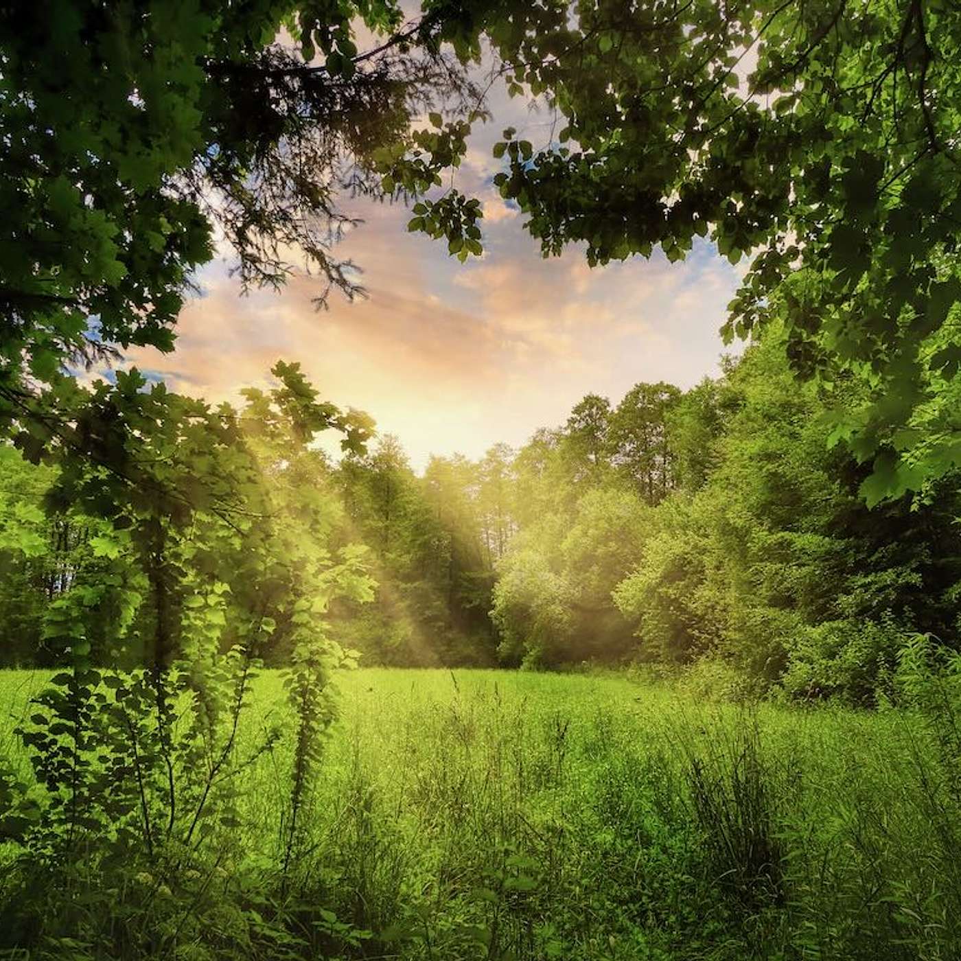 Heaven on Earth Mini Meditations