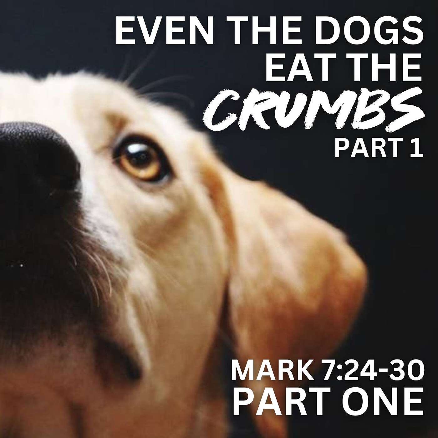 Even the Dogs Eat the Children's Crumbs, Part 1; Mark 7:24-30