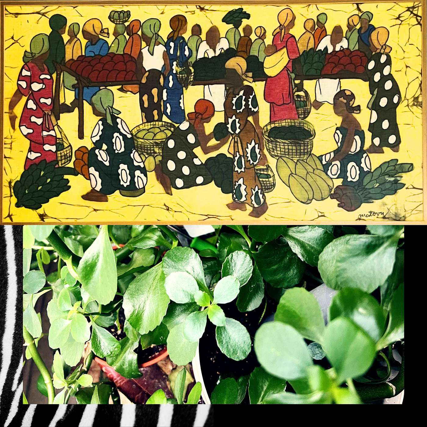 entry #004: tameawu, healing w/ frank entry #004: tameawu, healing w/ frank