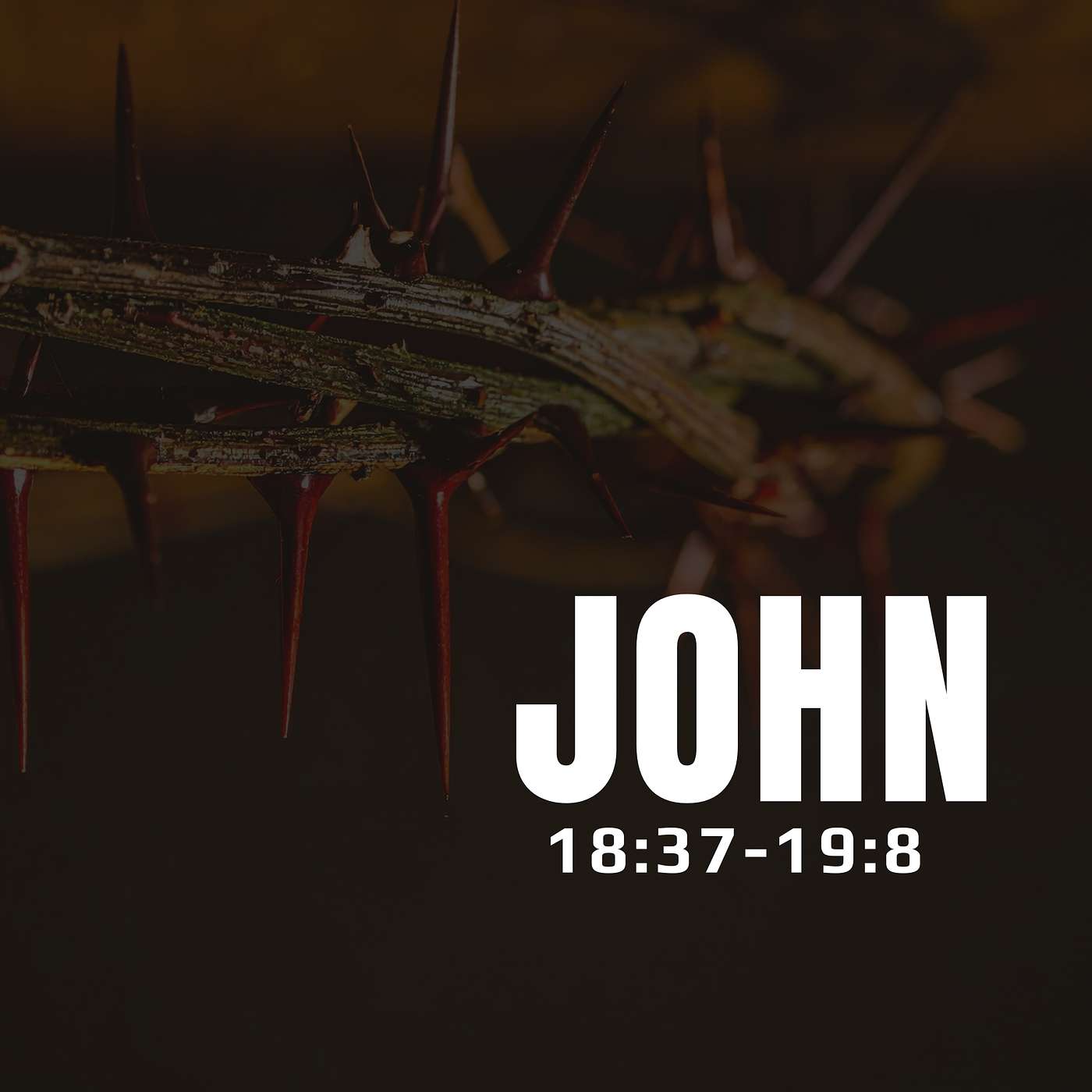 John 18:37-19:8