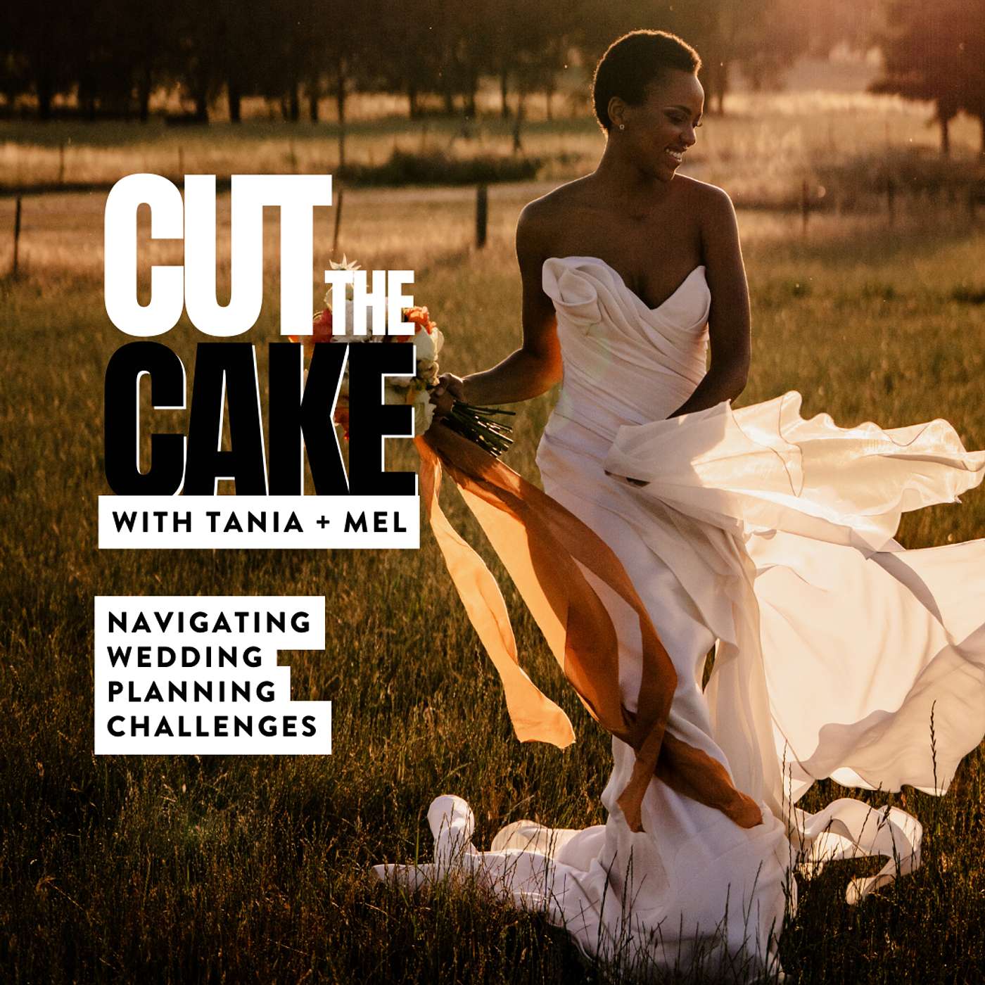 Cut the Cake