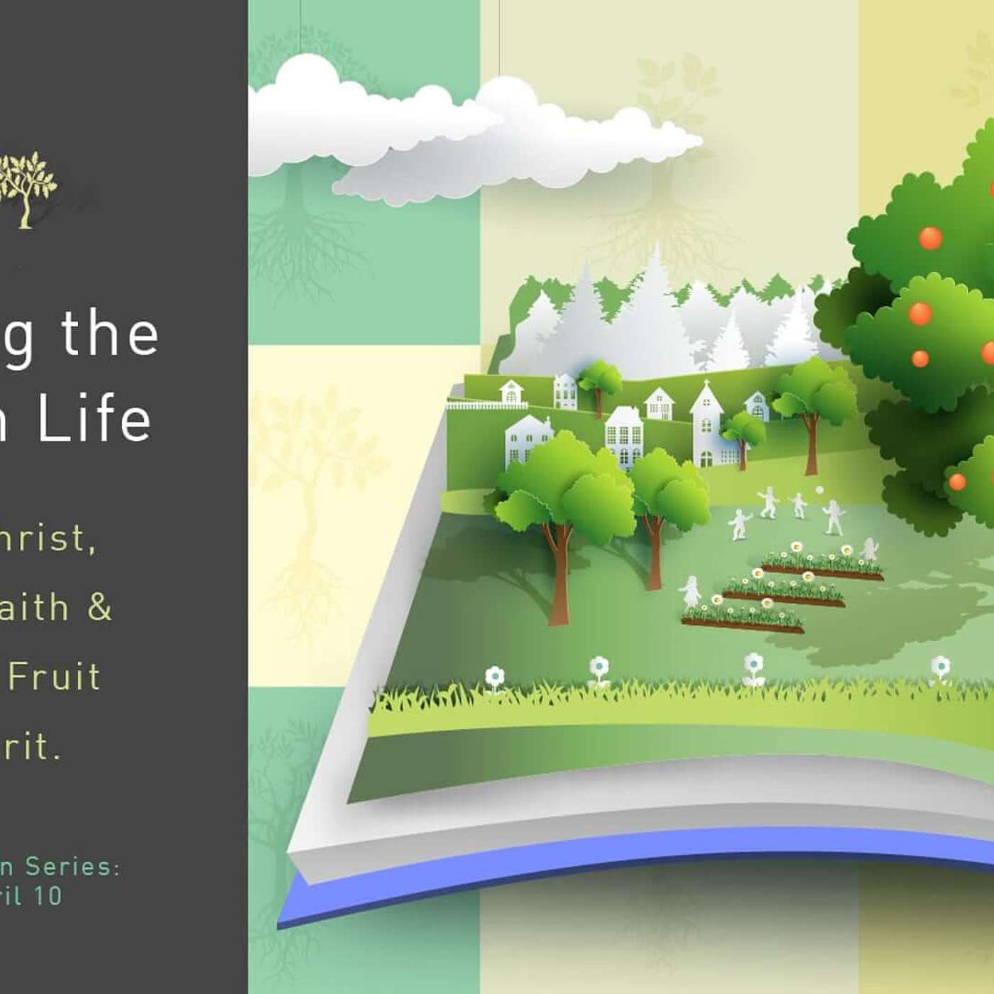 PHASE 5: MULTIPLYING. Rule #11: Be Salt and Light – Pastor Bob Erbig – Cultivating 2022 – 3-27-22 episode artwork
