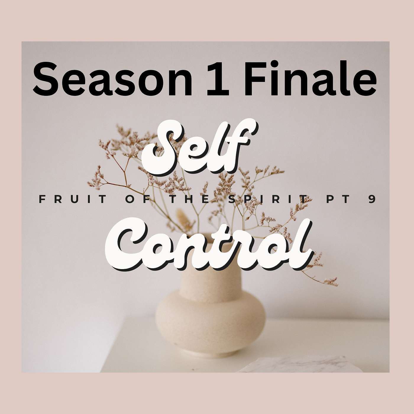 Self Control episode artwork