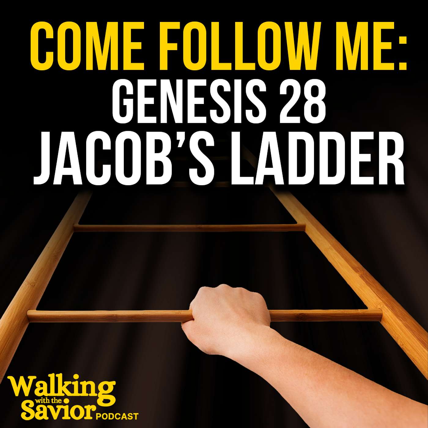 Come Follow Me: Genesis 28 Jacob's Ladder - EP 109
