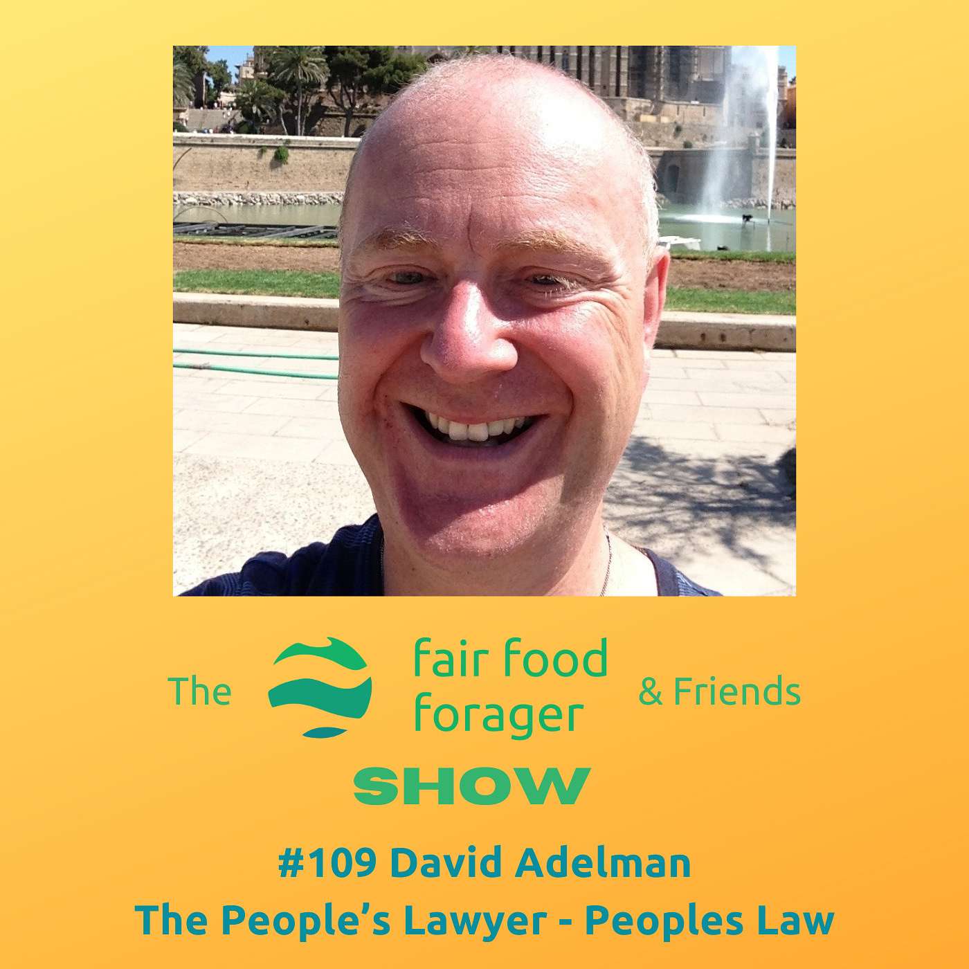 #109 David Adelman - The People's Lawyer on protecting yourself in a corrupt system