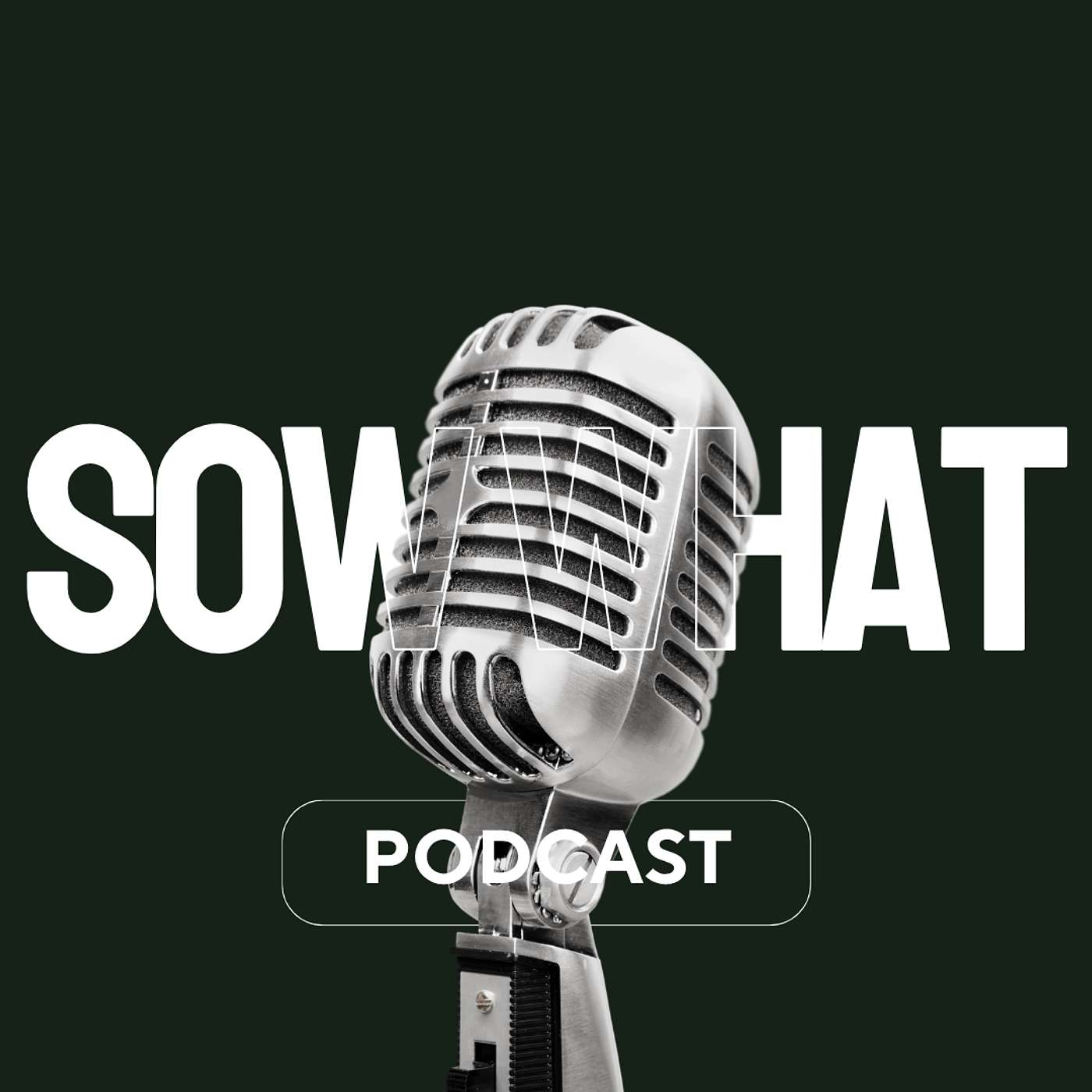 SOW What Podcast podcast artwork