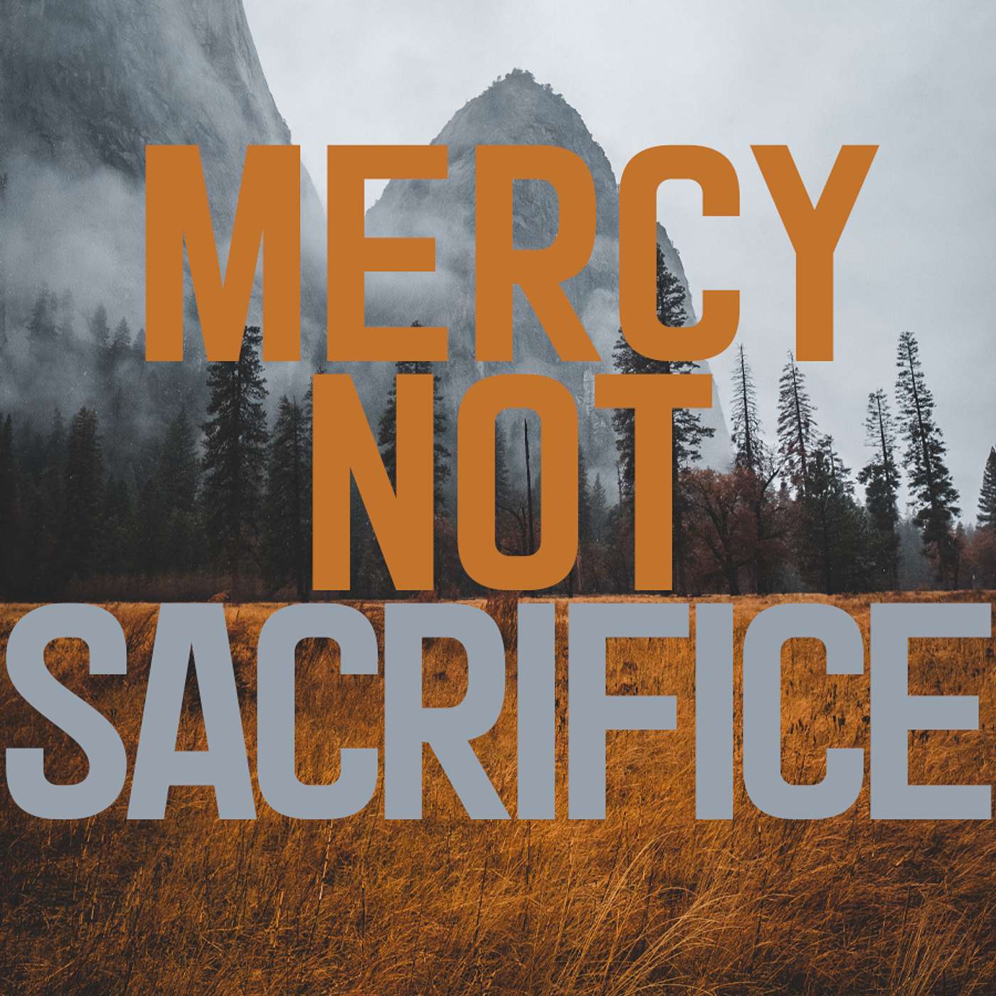 Season 6 Episode 143 - Mercy not Sacrifice episode artwork