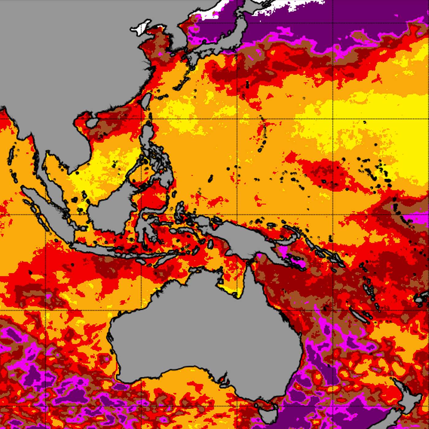 11. Breaking: Global Coral Bleaching Event with Dr Derek Manzello