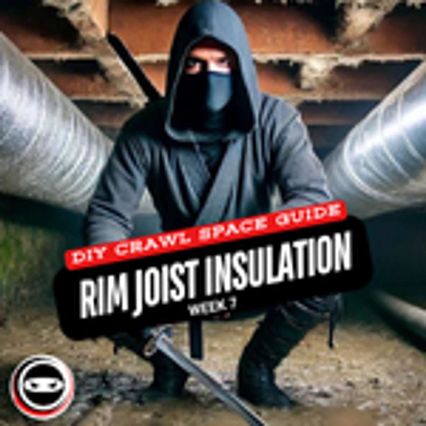 DIY Crawl Space Guide: Rim Joist Insulation Week 7