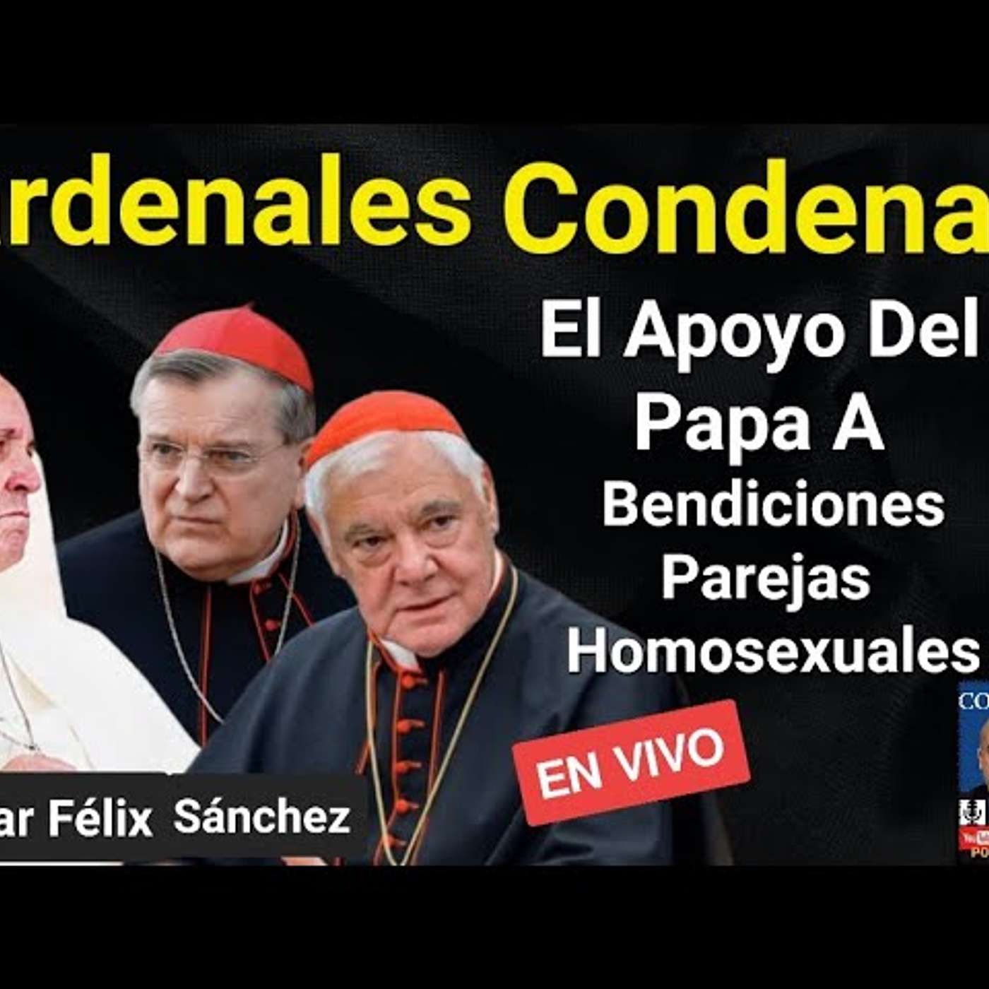 Episodo 880: Cardenales Condenan Apoyo Del Papa Bendiciones Contra NATURA y Comunion Divorciados Vueltos A Casar episode artwork