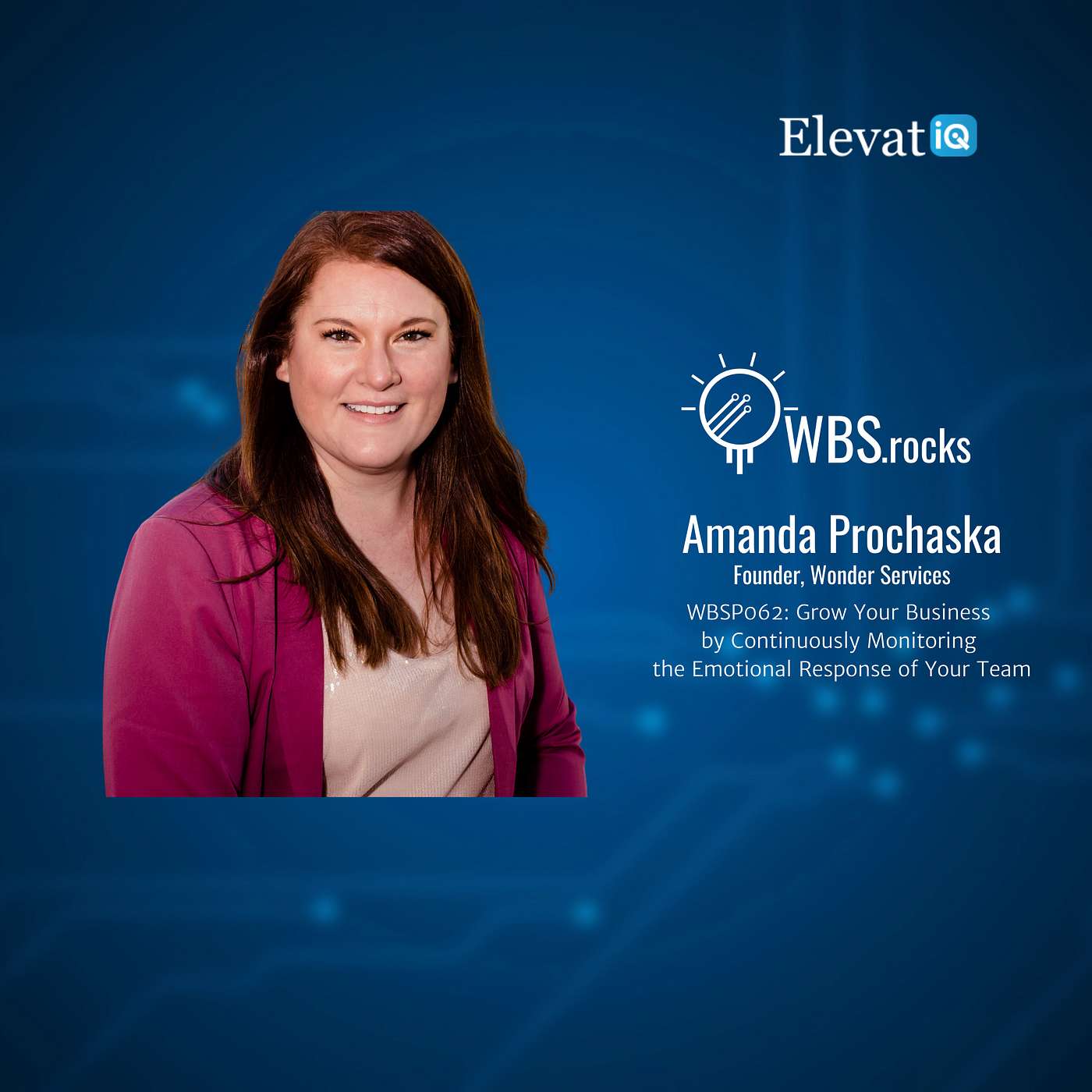 WBSP062: Grow Your Business by Continuously Monitoring the Emotional Response of Your Team w/ Amanda Prochaska