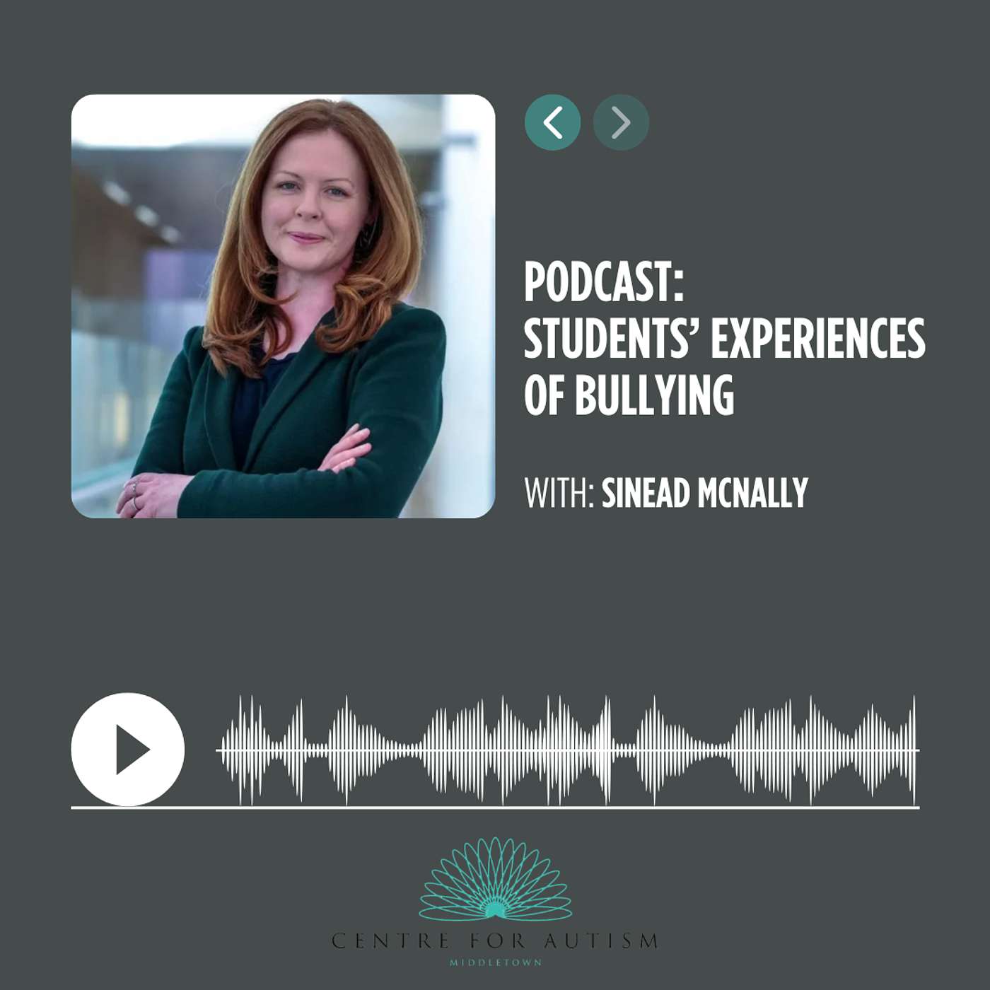 Students’ Experiences of Bullying – Sinead McNally Students’ Experiences of Bullying – Sinead McNally