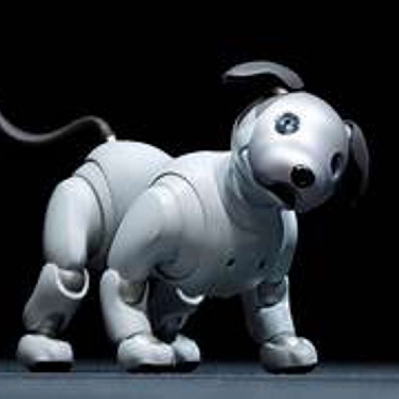 Cane robot: come dovrebbe essere di Lucia Orlandi Cane robot: come dovrebbe essere di Lucia Orlandi