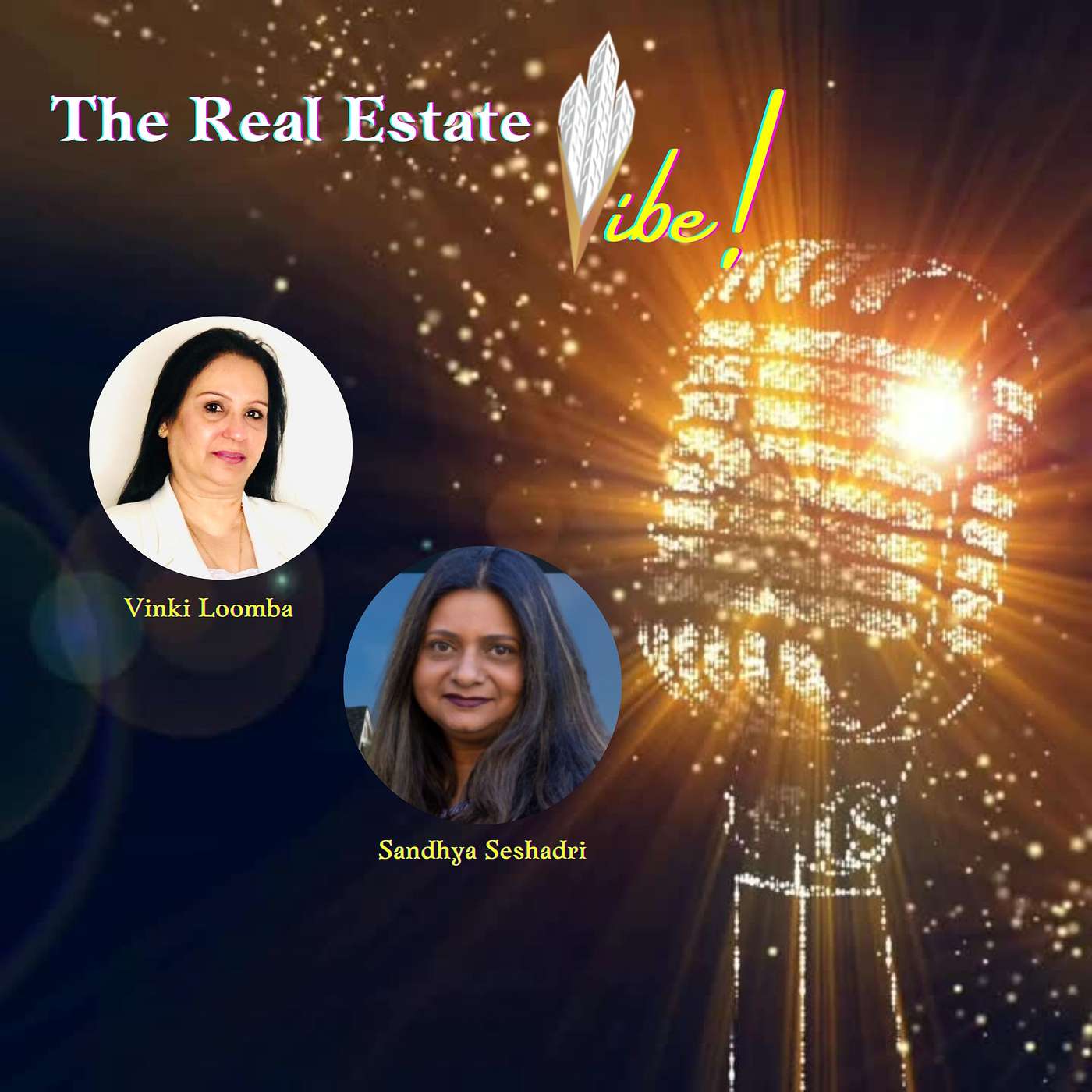 The Wealth Vibe Show!